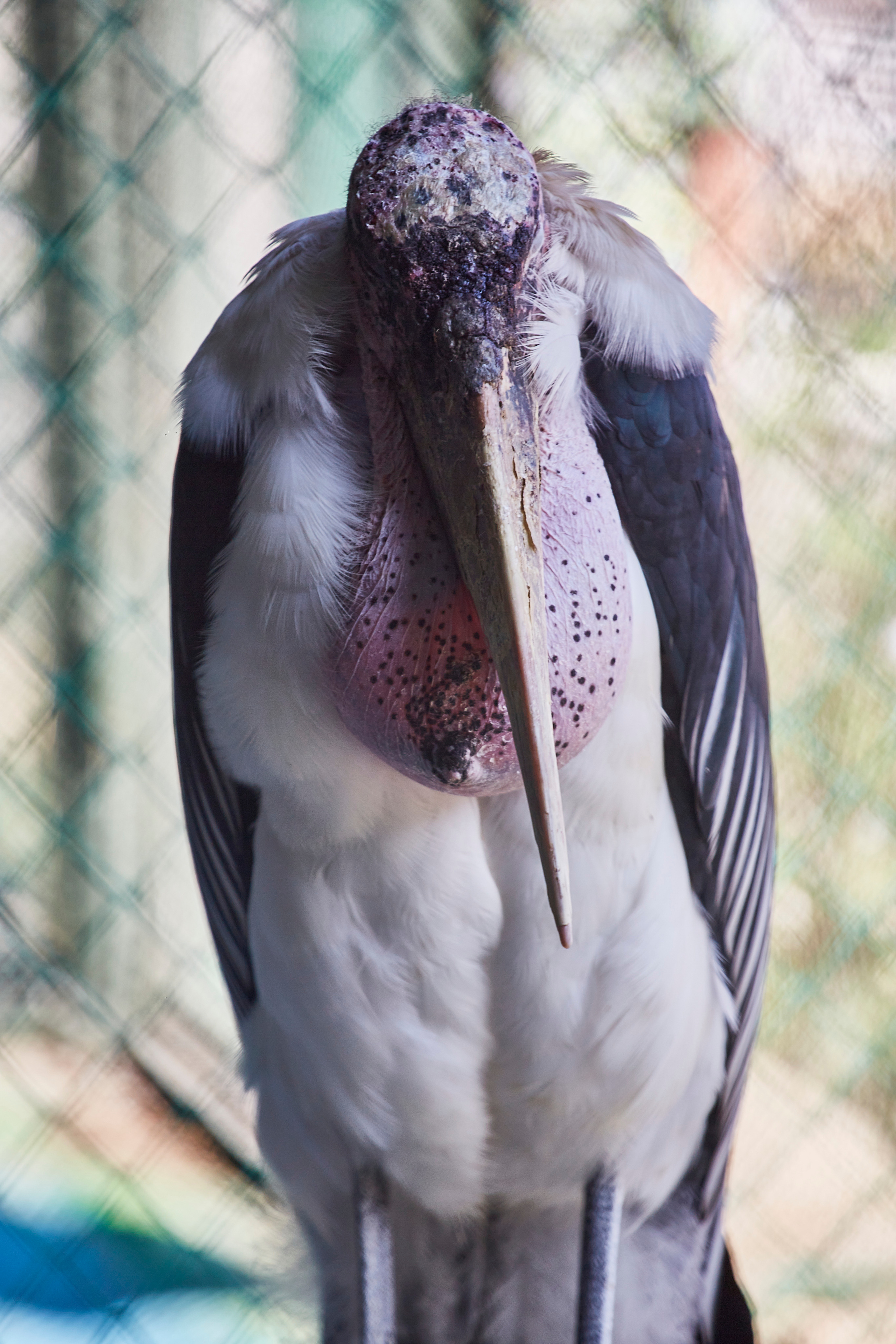 Екатеринбургский зоопарк. Photographer Sonkina Tatiana (Tanya Ash)
