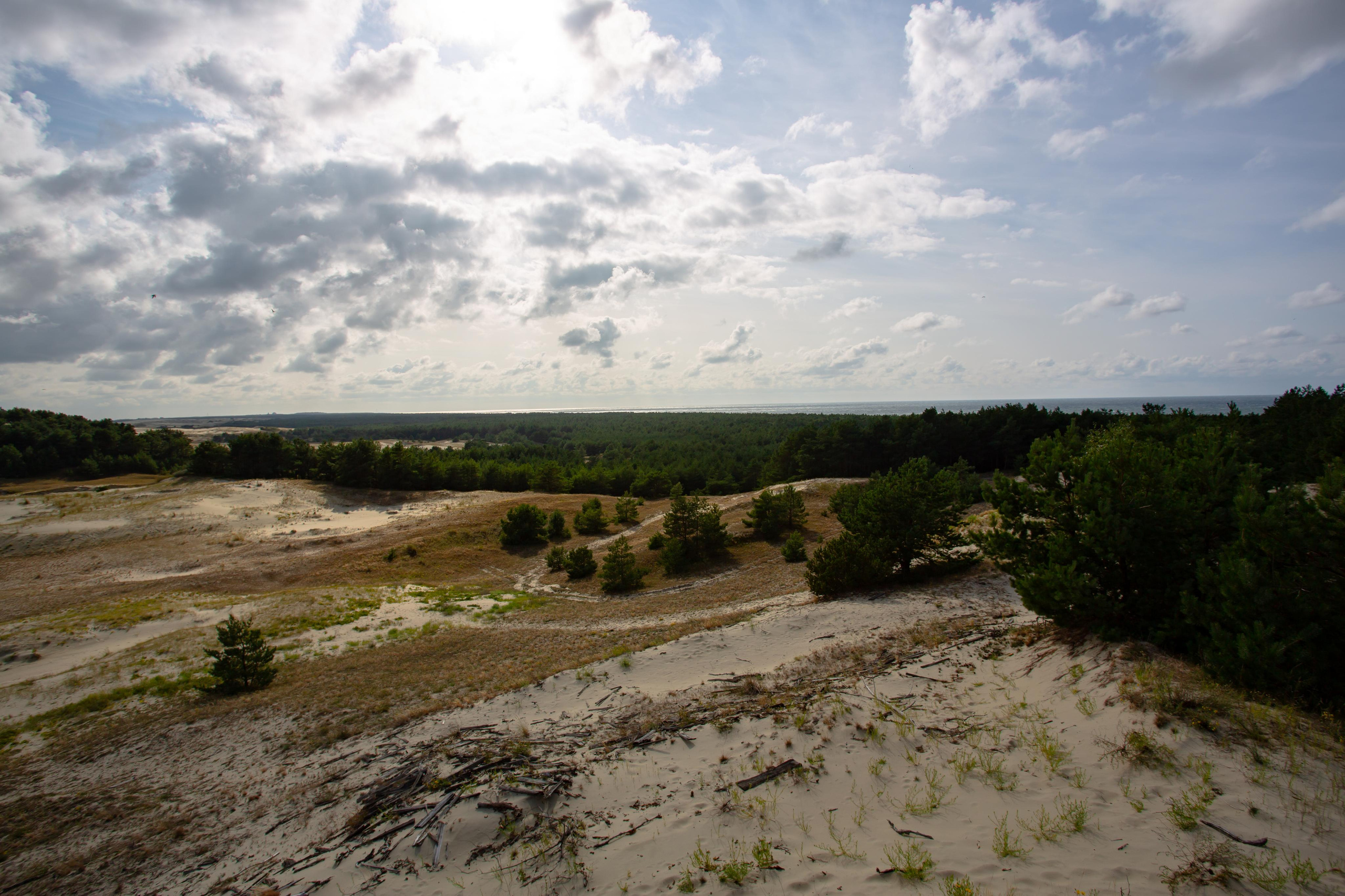 Куршская Коса. Photographer Sonkina Tatiana (Tanya Ash)