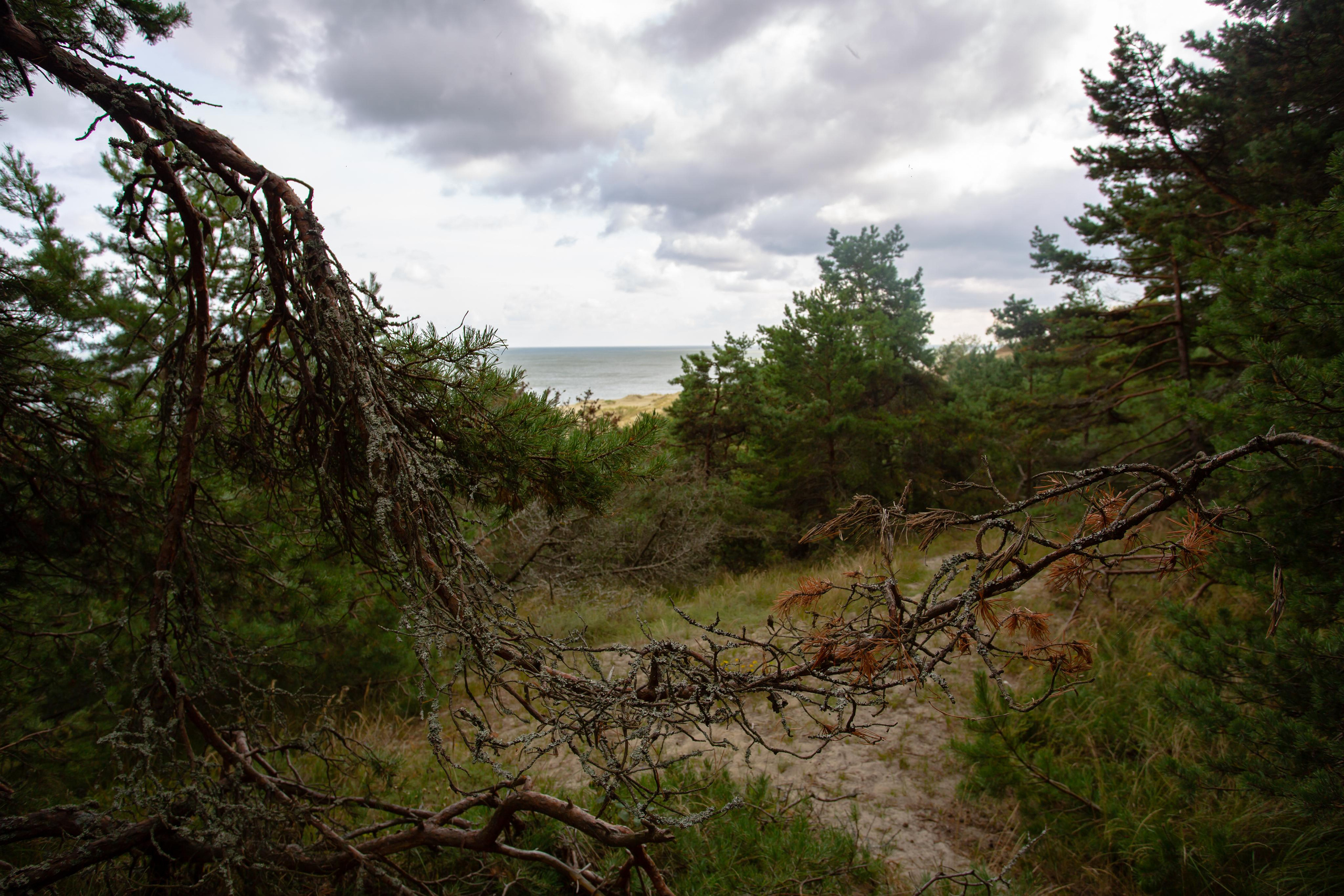 Куршская Коса. Photographer Sonkina Tatiana (Tanya Ash)