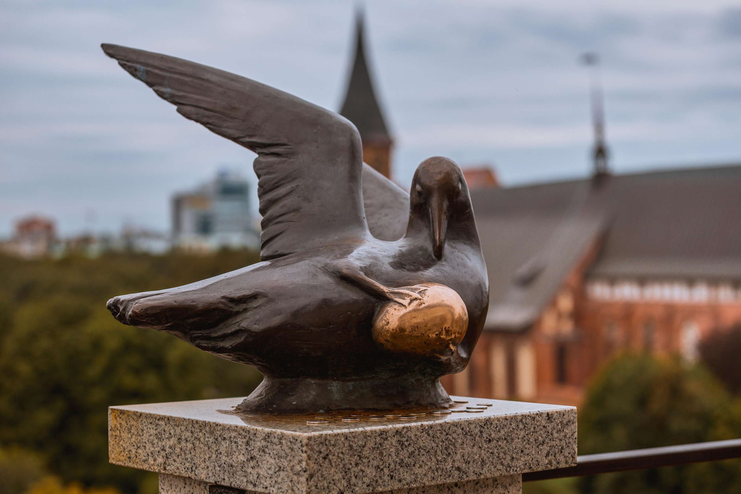 Калининград. Photographer Sonkina Tatiana (Tanya Ash)