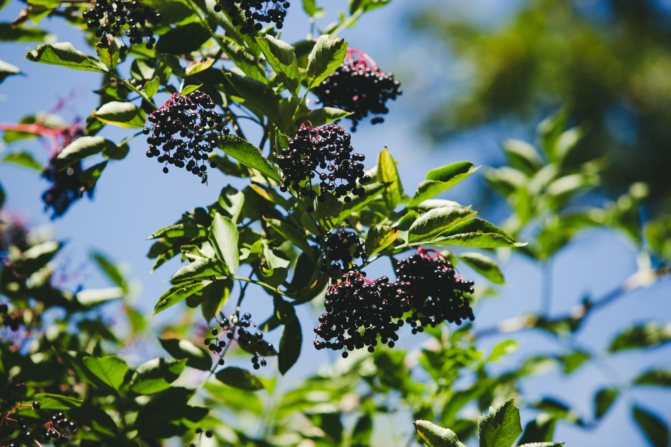 Калининград. Photographer Sonkina Tatiana (Tanya Ash)