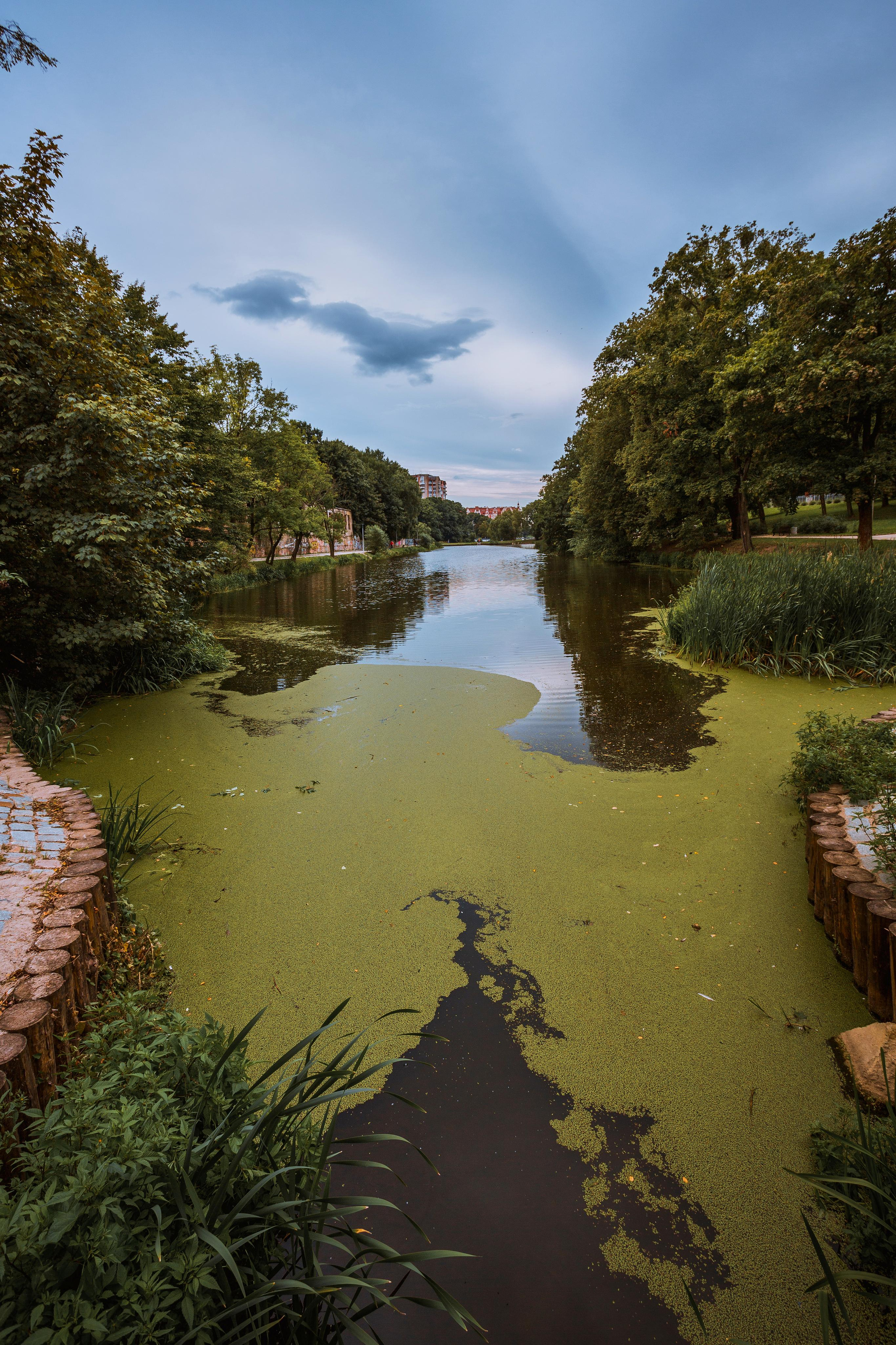 Калининград. Photographer Sonkina Tatiana (Tanya Ash)