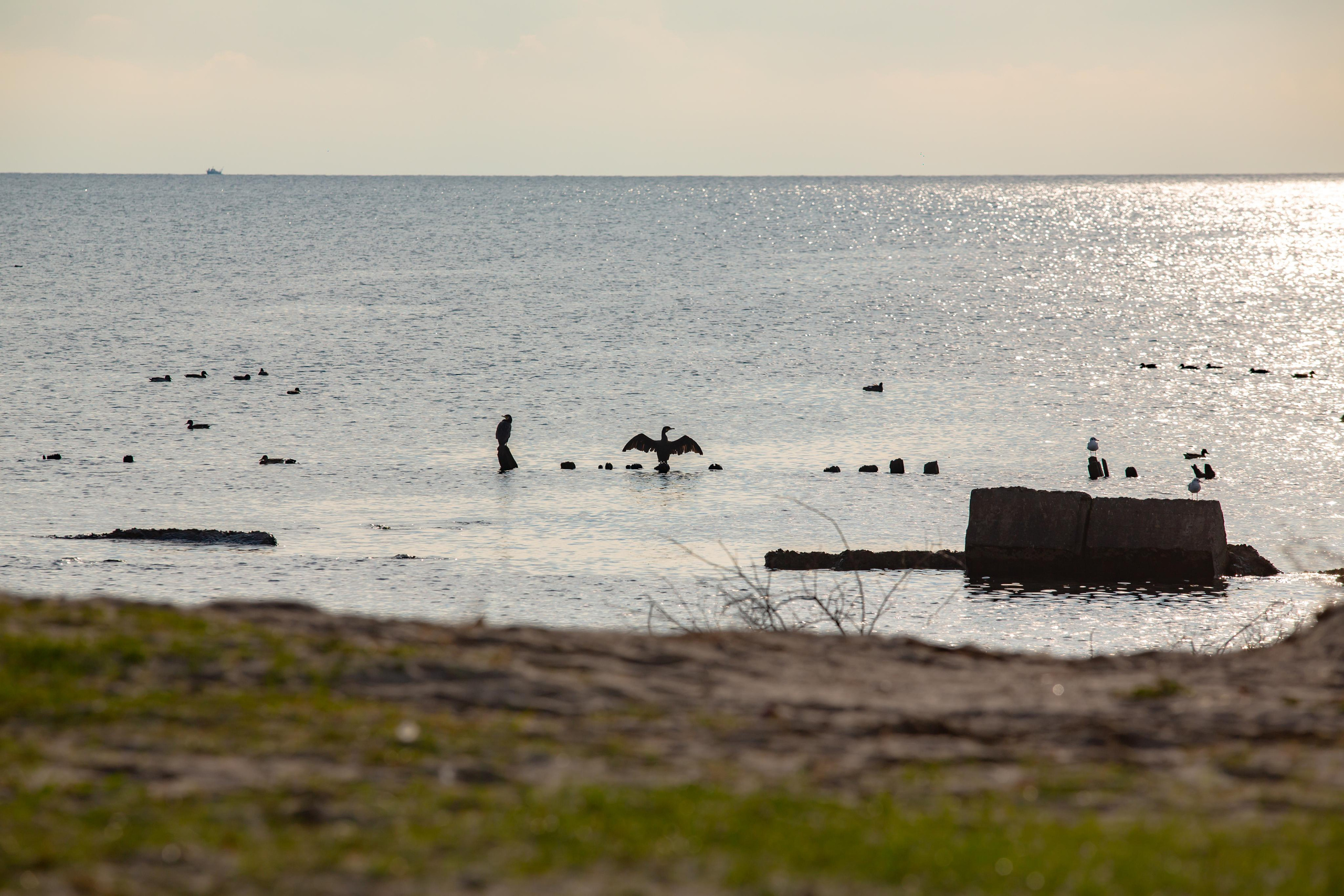 Балтийская Коса. Photographer Sonkina Tatiana (Tanya Ash)