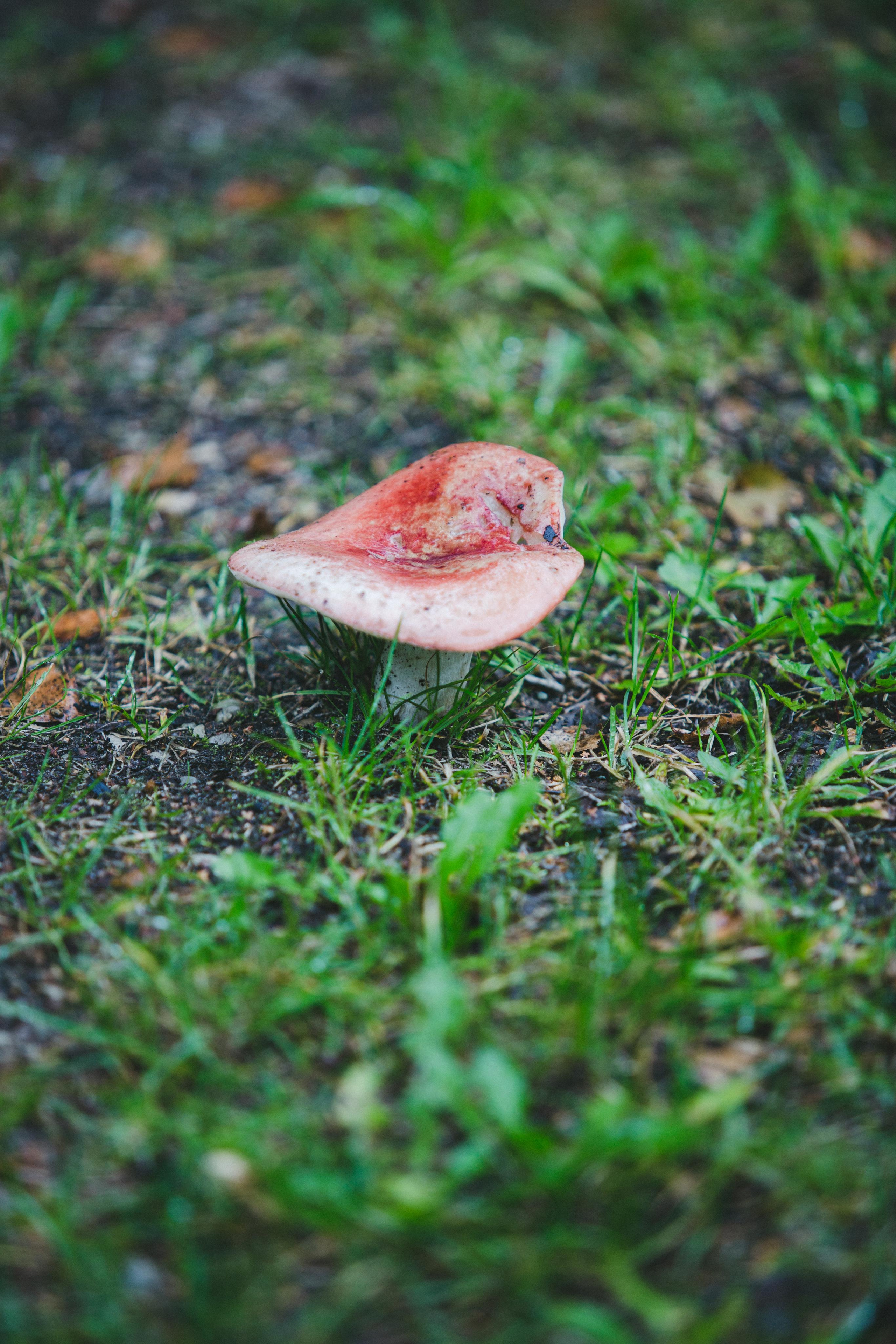 Виштынецкое озеро. Photographer Sonkina Tatiana (Tanya Ash)