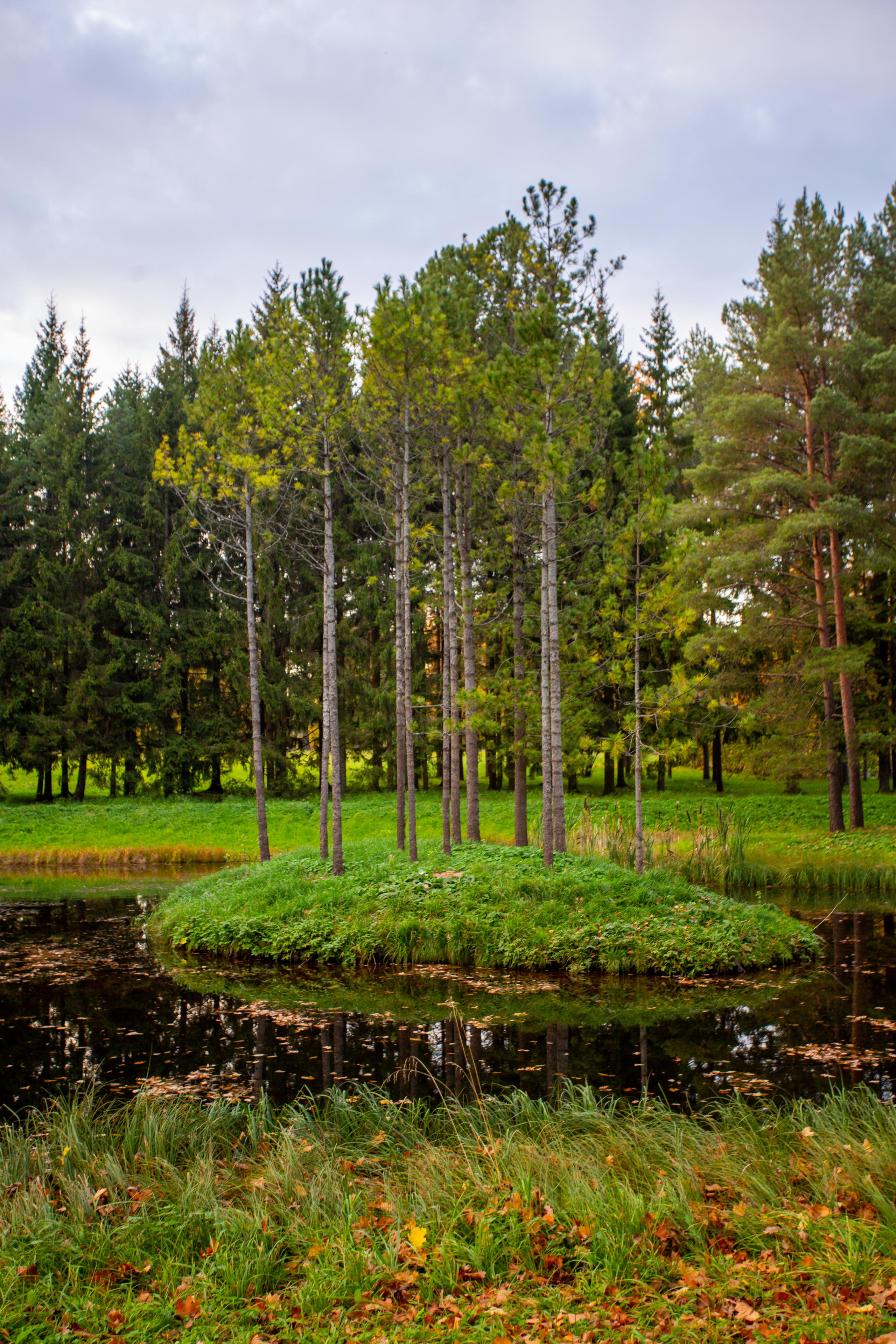 Пушкин (Царское Село). Photographer Sonkina Tatiana (Tanya Ash)