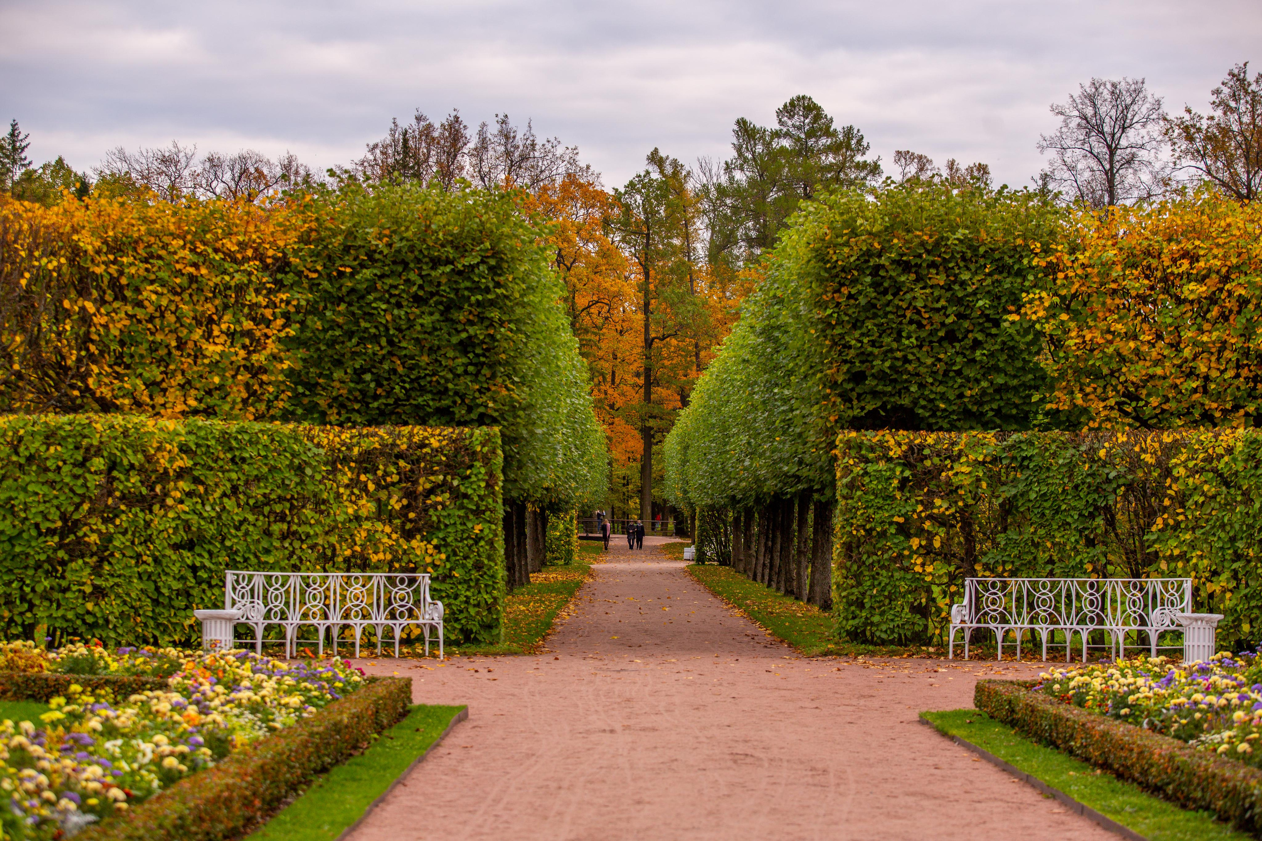 Пушкин (Царское Село). Photographer Sonkina Tatiana (Tanya Ash)