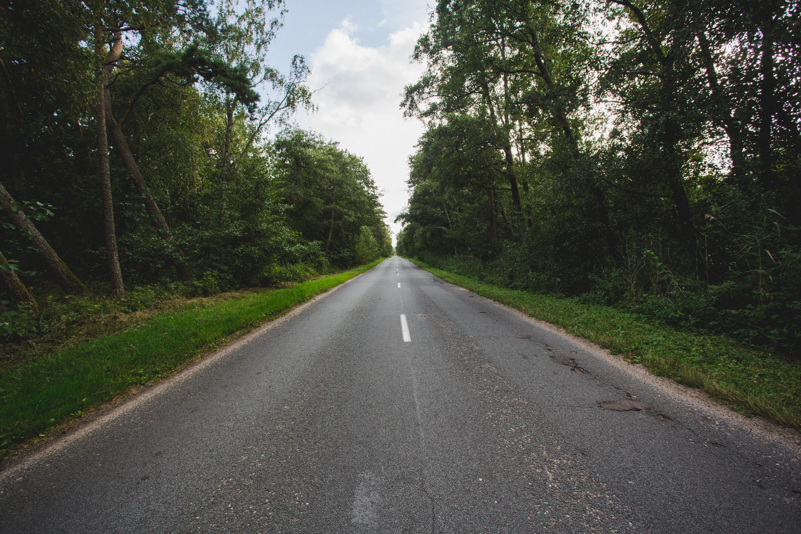 Куршская Коса. Photographer Sonkina Tatiana (Tanya Ash)