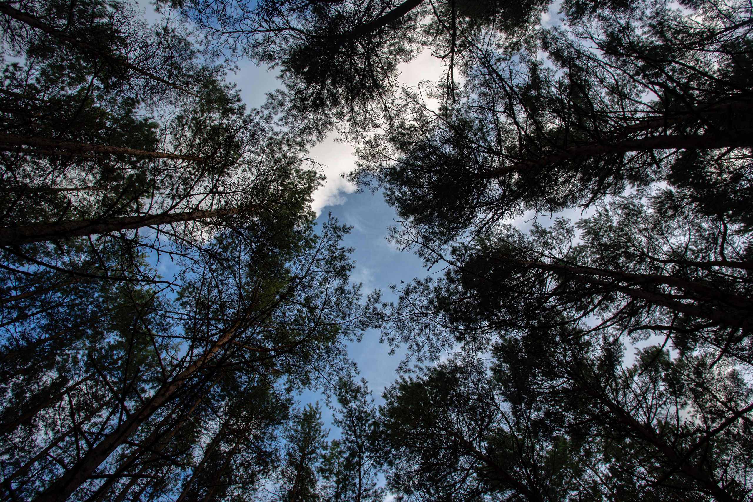 Куршская Коса. Photographer Sonkina Tatiana (Tanya Ash)