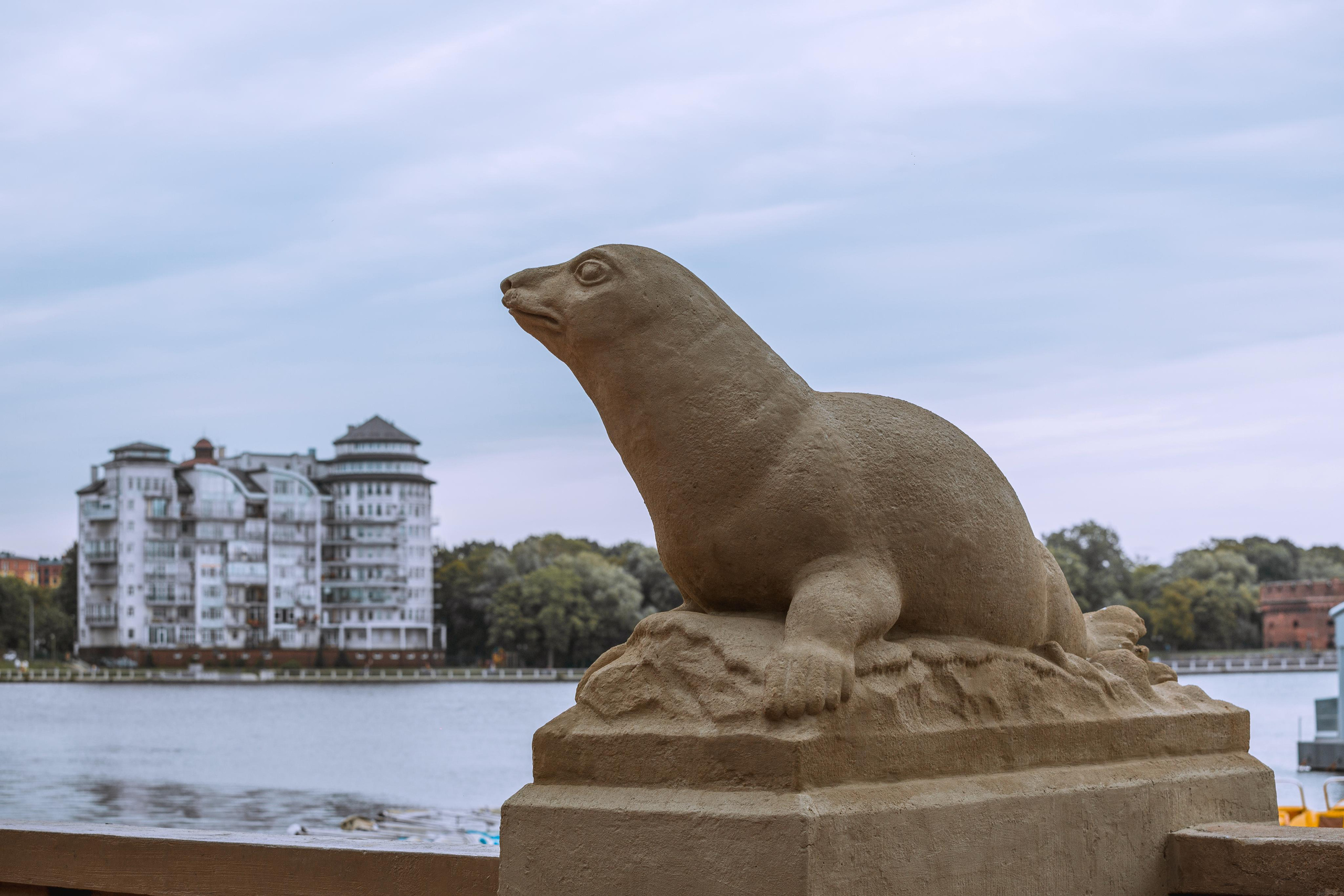 Калининград. Photographer Sonkina Tatiana (Tanya Ash)