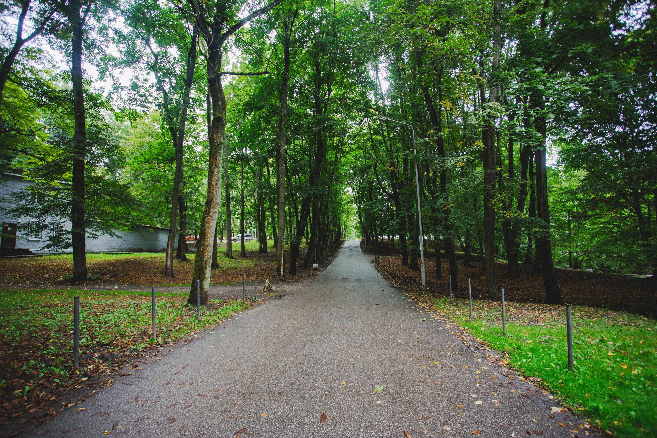 Калининград. Photographer Sonkina Tatiana (Tanya Ash)