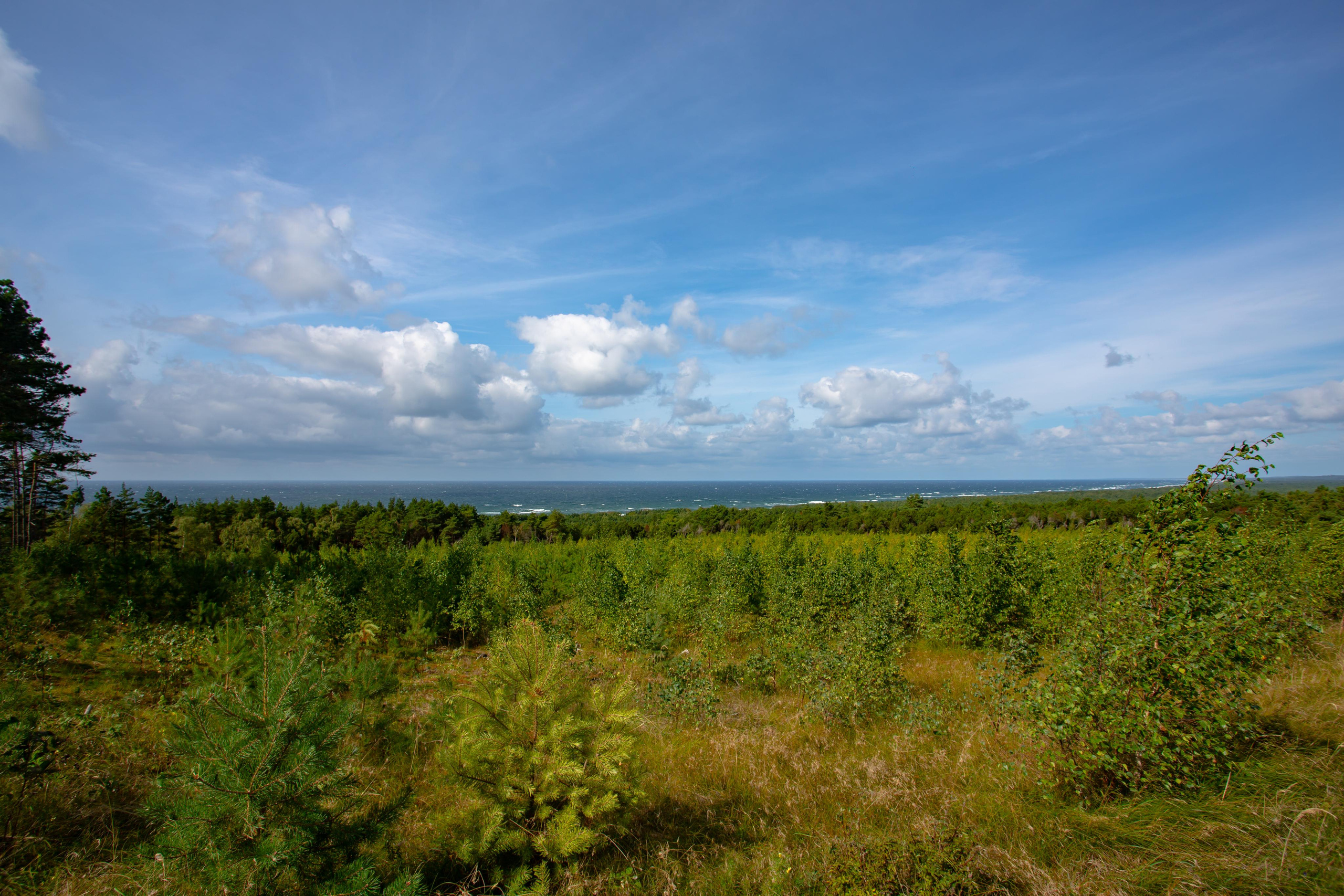Куршская Коса. Photographer Sonkina Tatiana (Tanya Ash)