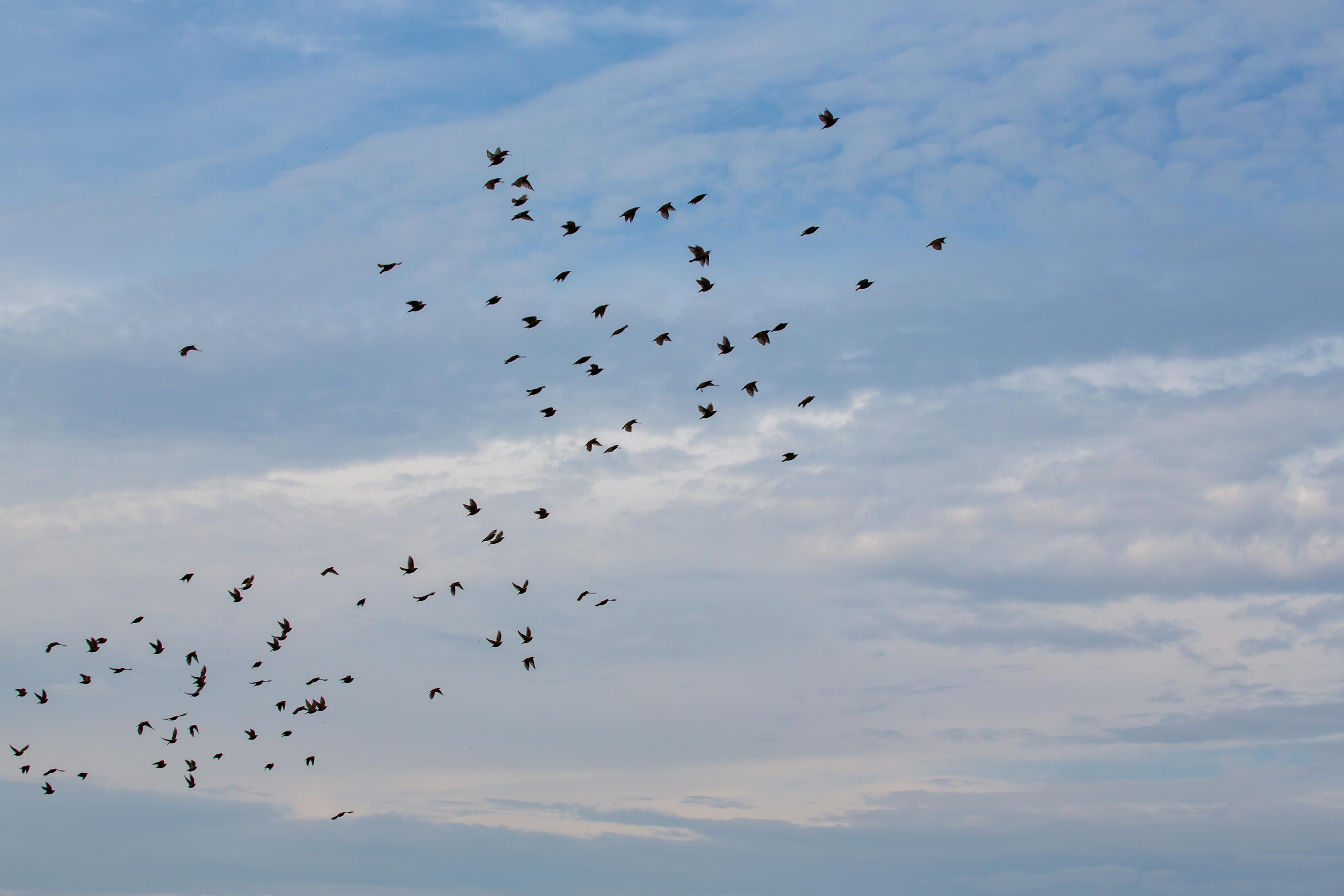 Балтийская Коса. Photographer Sonkina Tatiana (Tanya Ash)