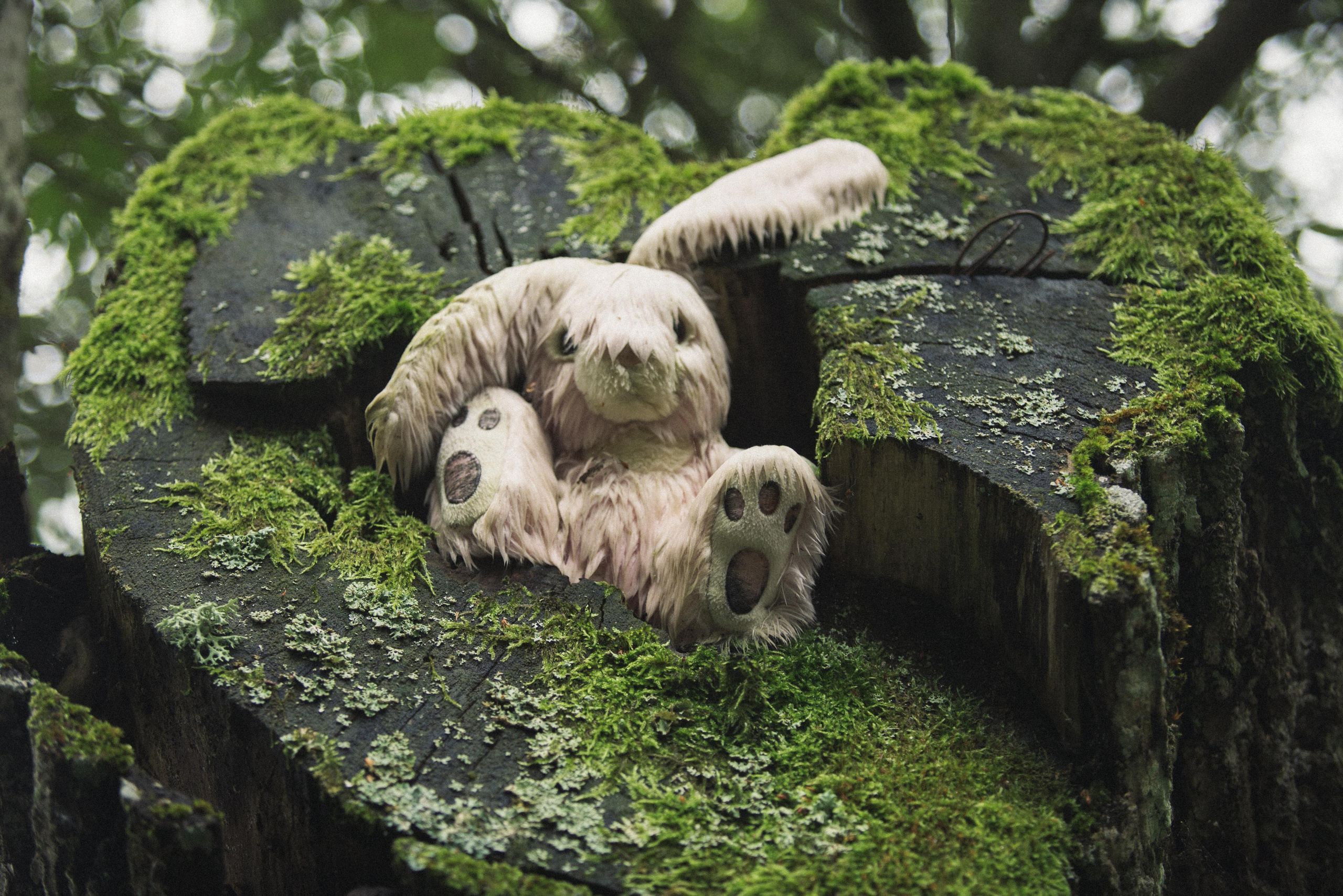 Виштынецкое озеро. Photographer Sonkina Tatiana (Tanya Ash)