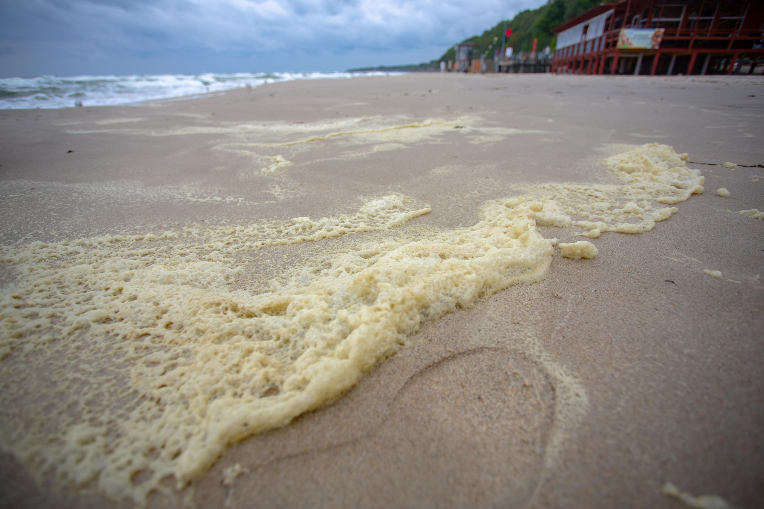 Пионерский. Photographer Sonkina Tatiana (Tanya Ash)