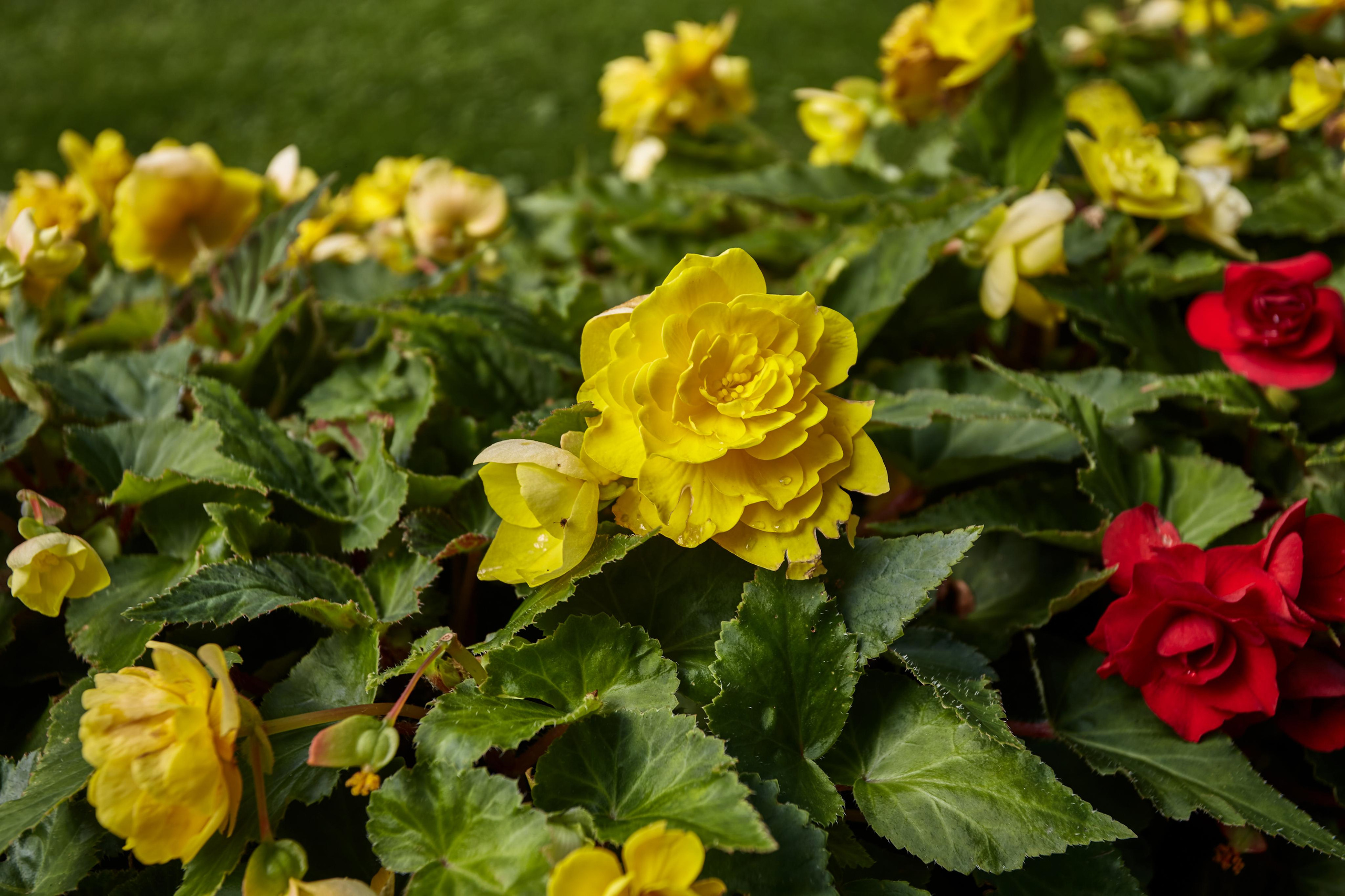 Светлогорск. Photographer Sonkina Tatiana (Tanya Ash)