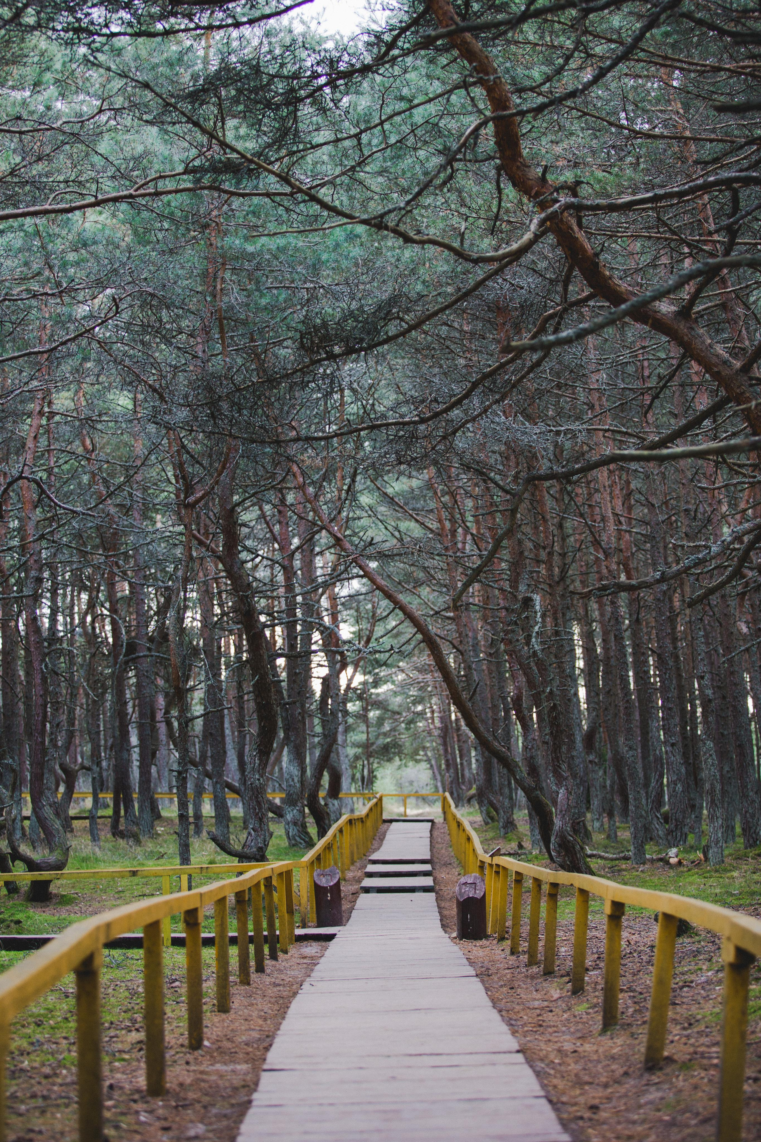 Куршская Коса. Photographer Sonkina Tatiana (Tanya Ash)