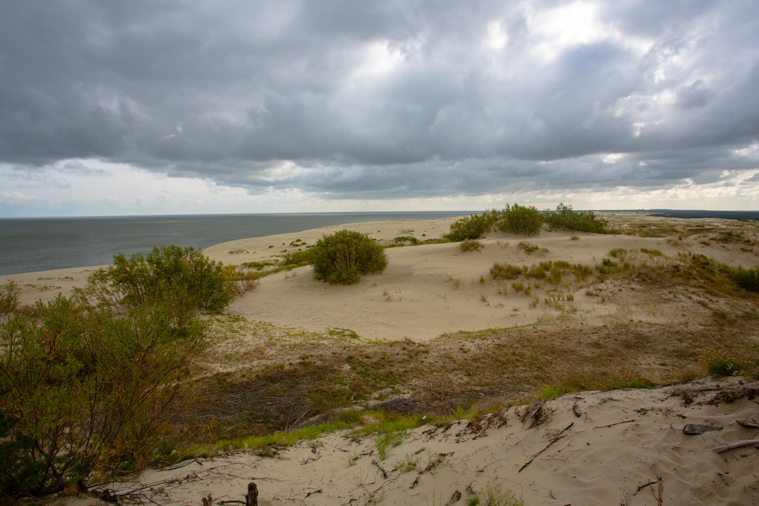 Куршская Коса. Photographer Sonkina Tatiana (Tanya Ash)