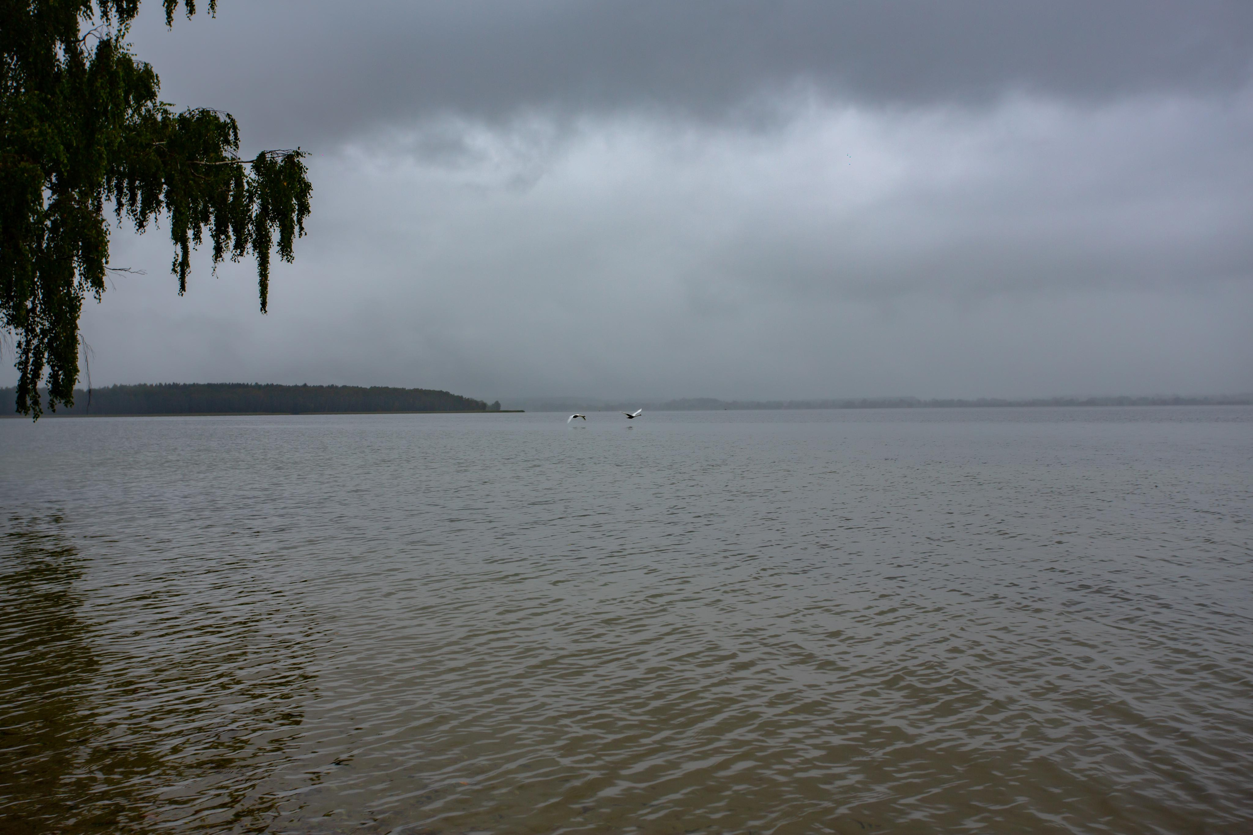 Виштынецкое озеро. Photographer Sonkina Tatiana (Tanya Ash)