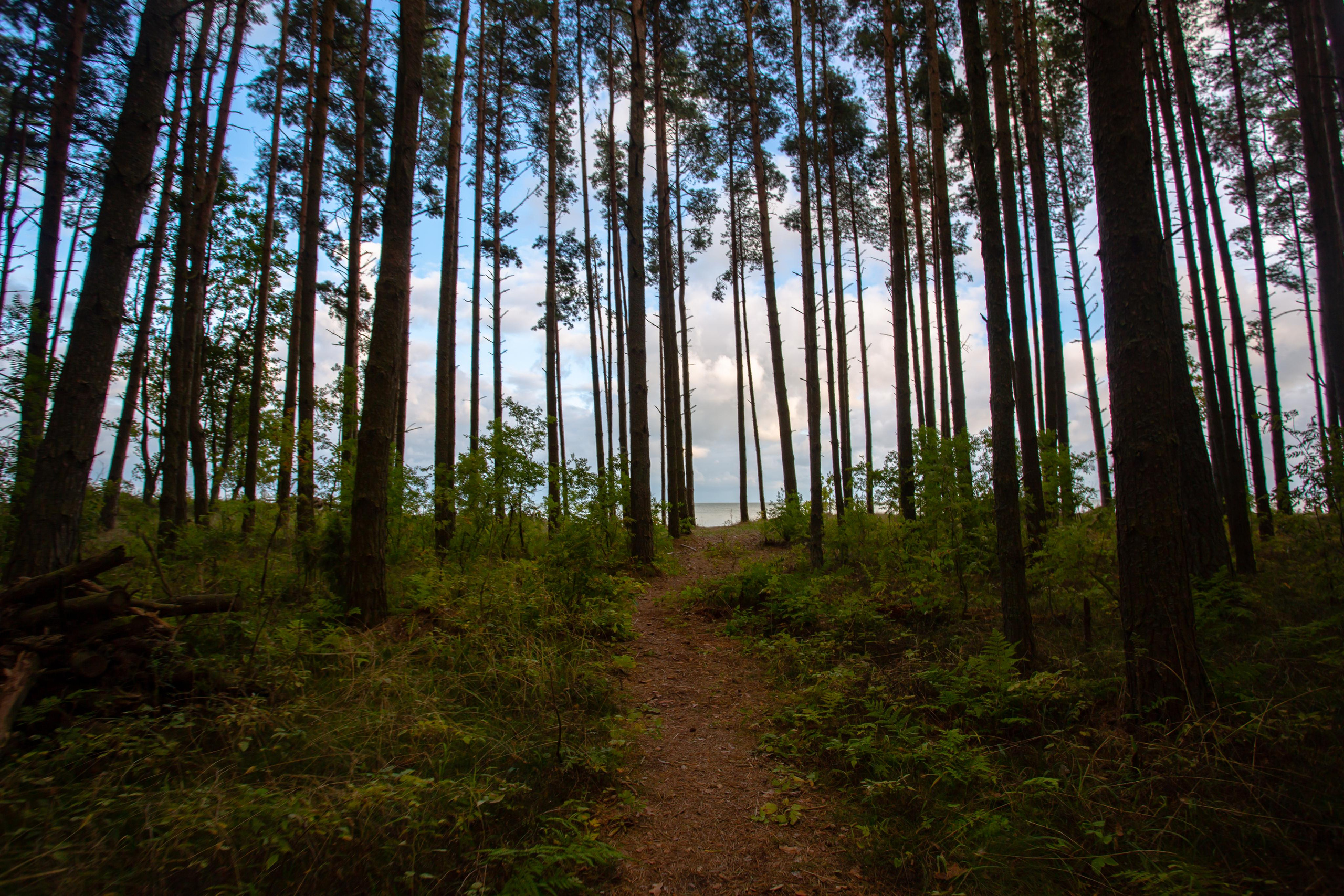 Куршская Коса. Photographer Sonkina Tatiana (Tanya Ash)