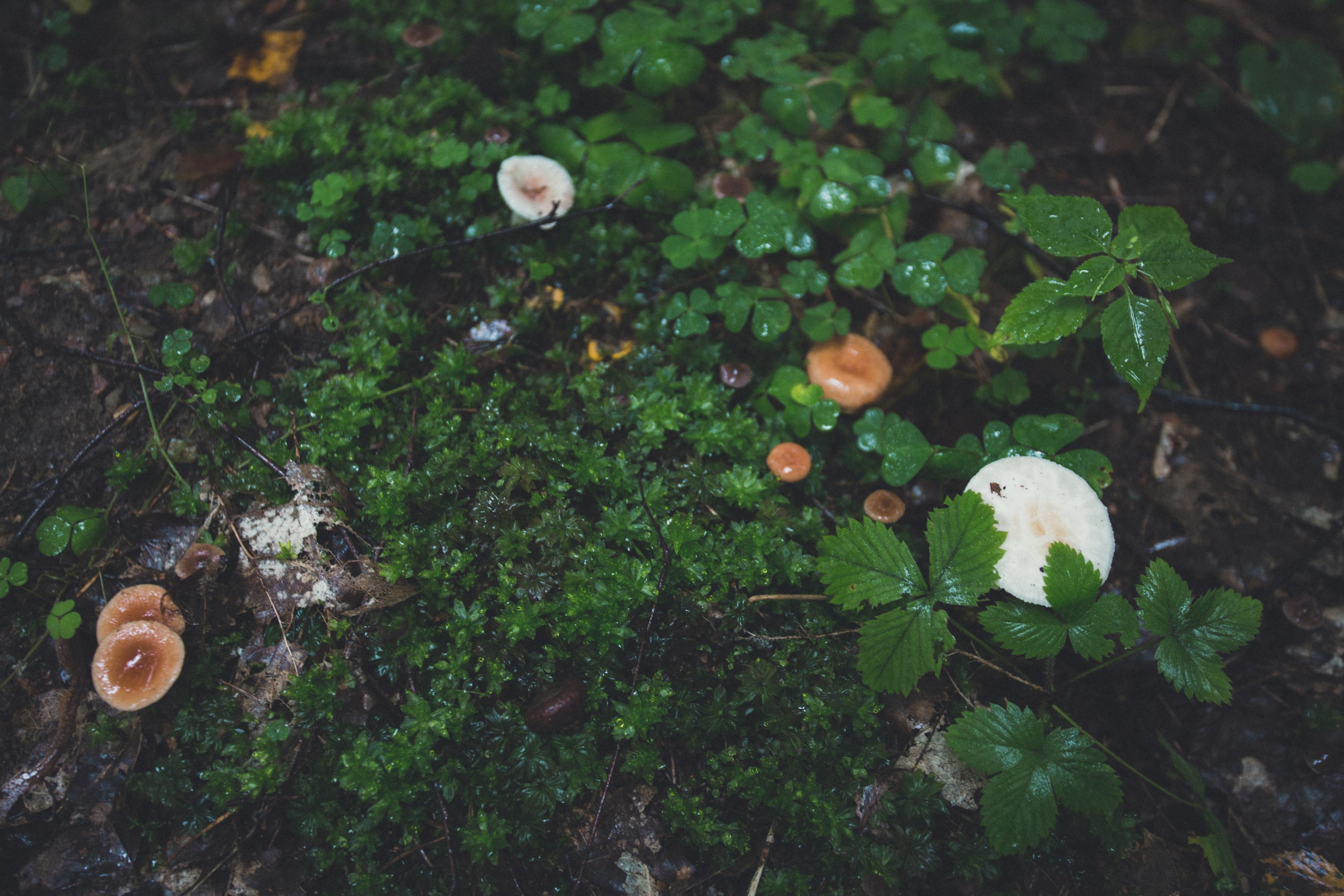 Виштынецкое озеро. Photographer Sonkina Tatiana (Tanya Ash)