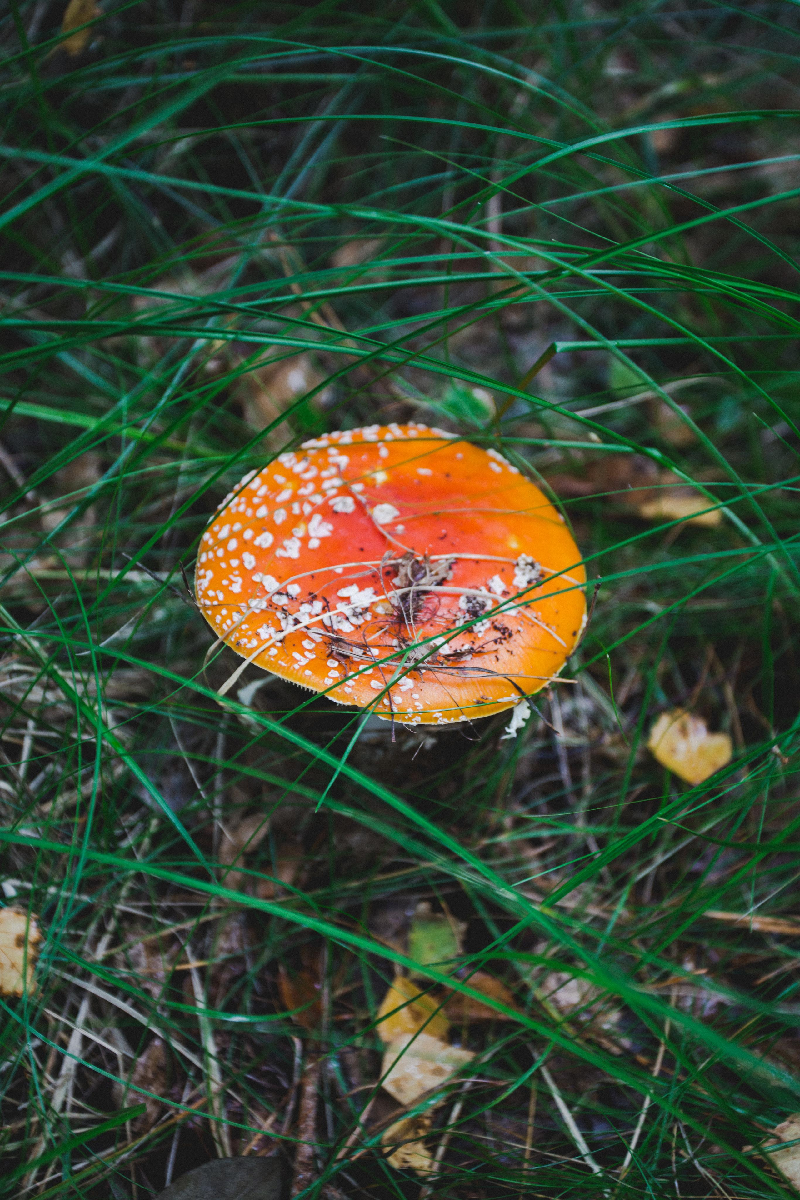 Пионерский. Photographer Sonkina Tatiana (Tanya Ash)