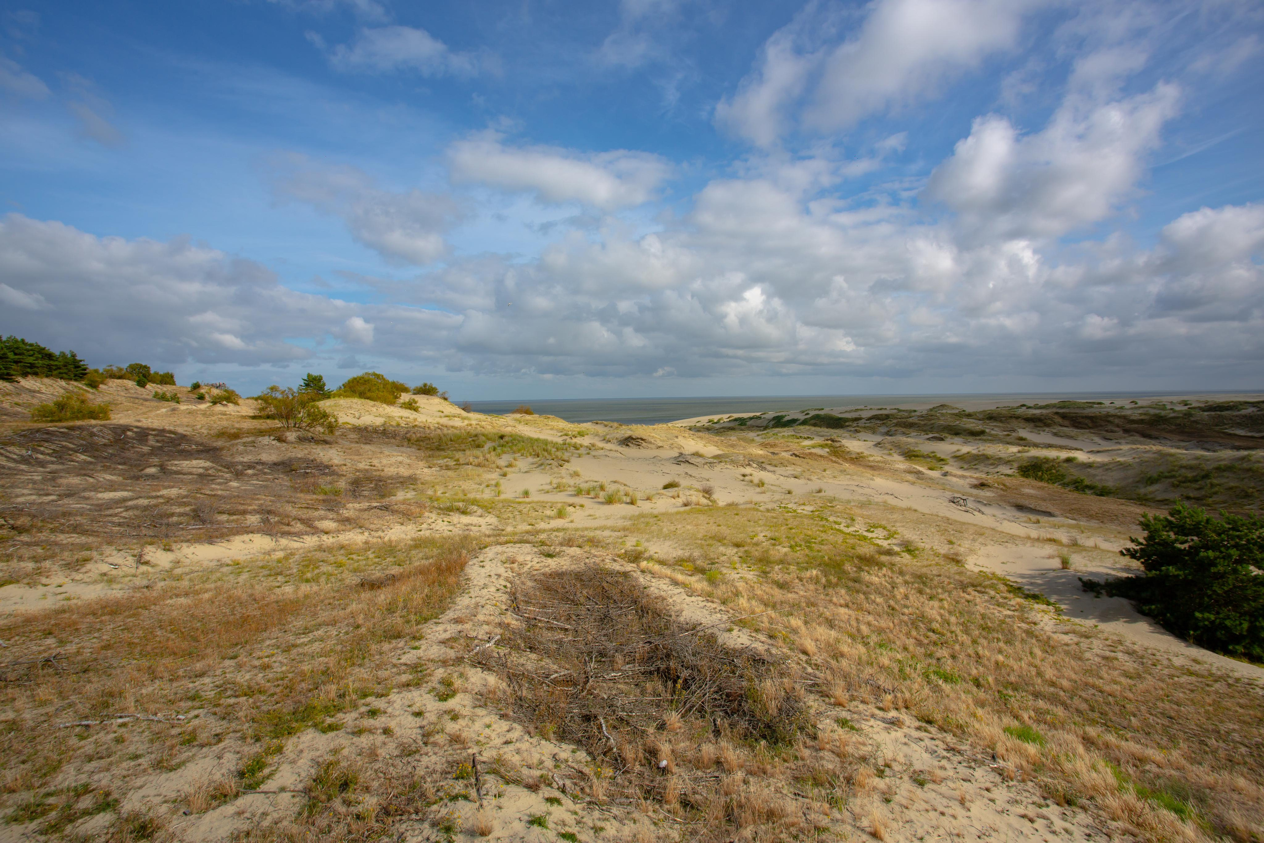 Куршская Коса. Photographer Sonkina Tatiana (Tanya Ash)