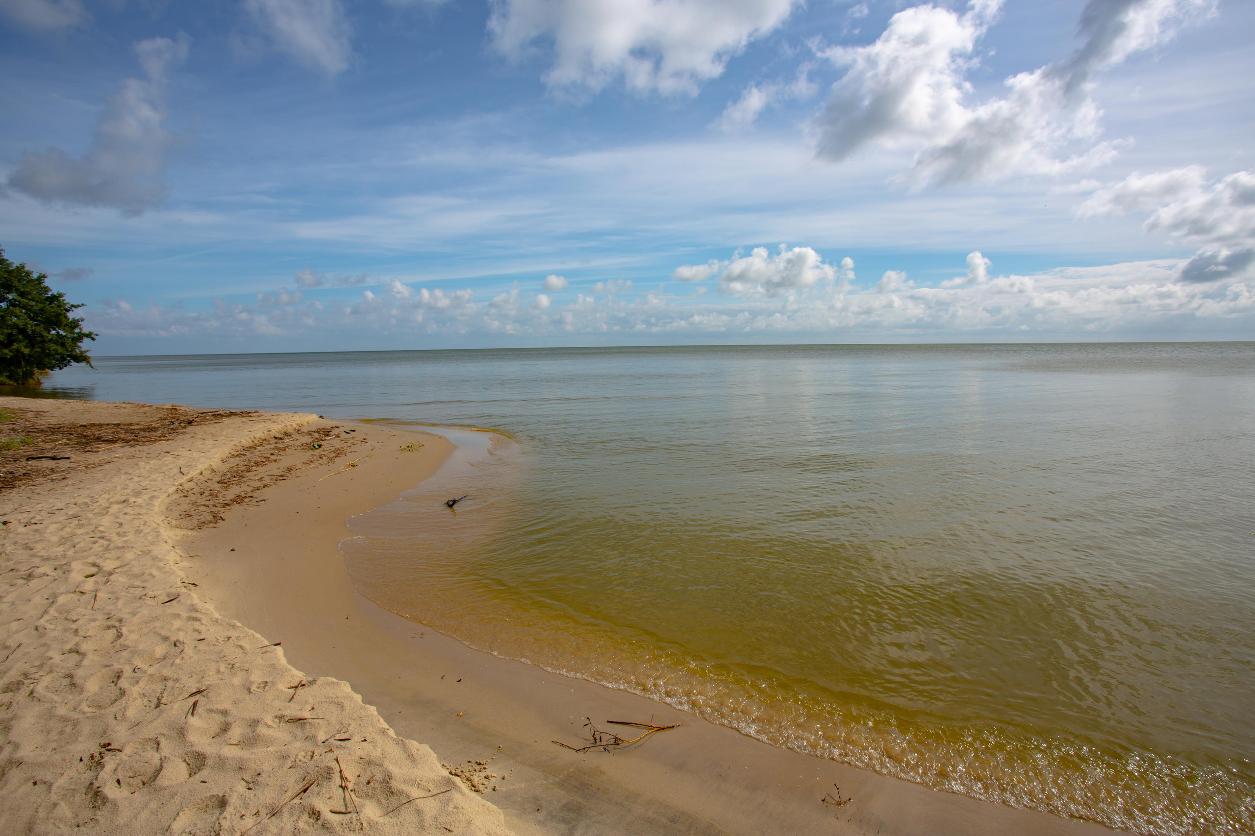 Куршская Коса. Photographer Sonkina Tatiana (Tanya Ash)