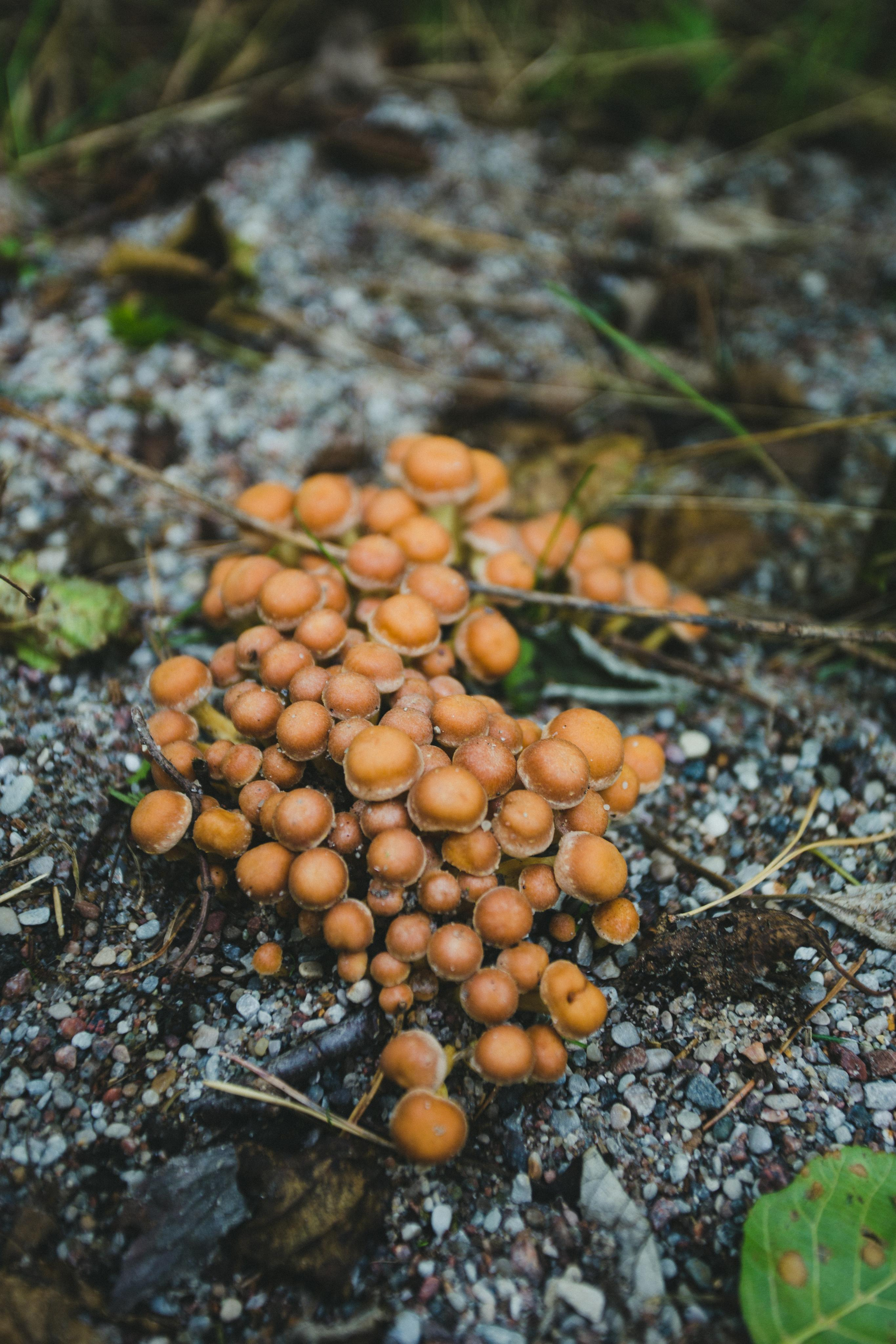 Куршская Коса. Photographer Sonkina Tatiana (Tanya Ash)