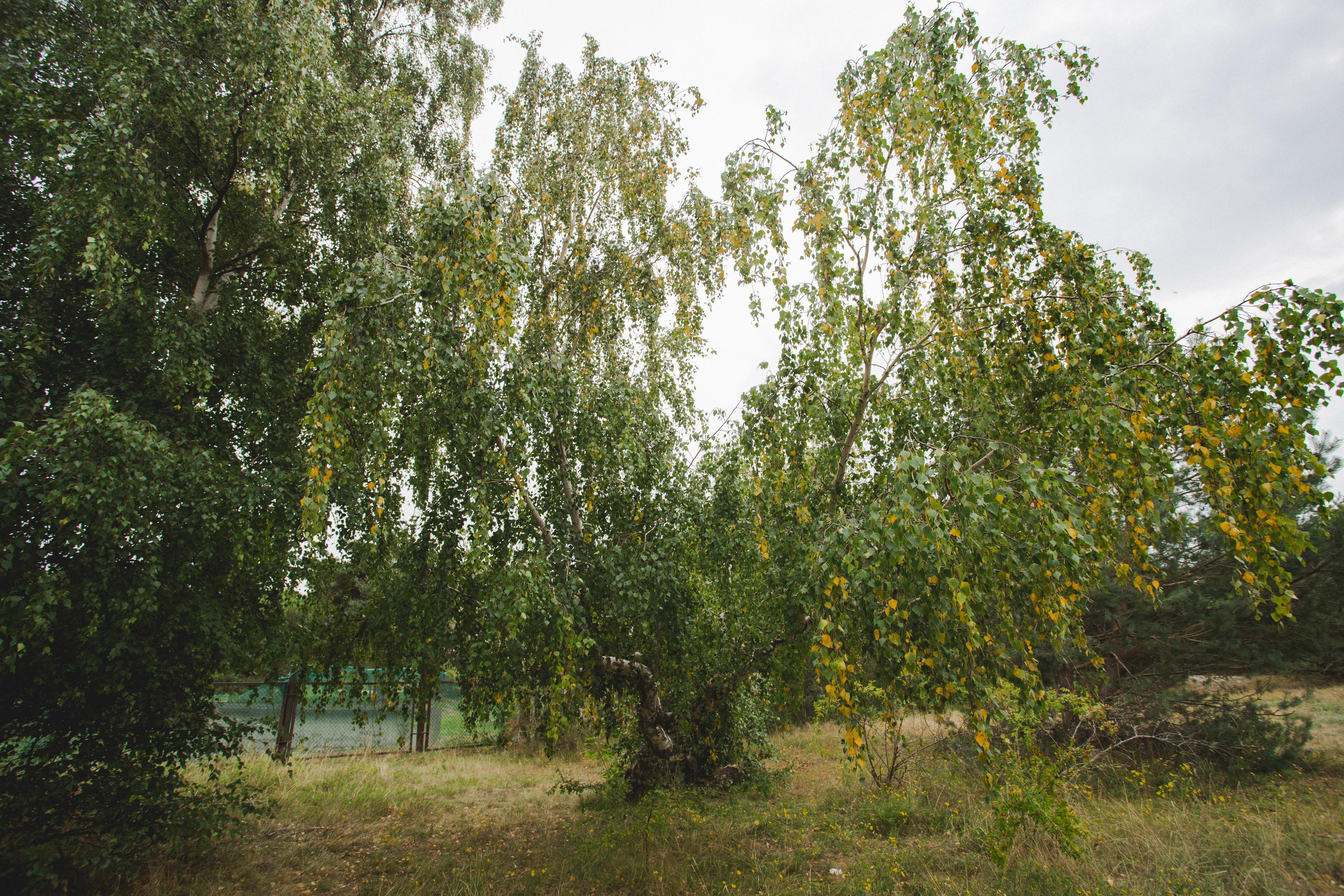 Балтийск. Photographer Sonkina Tatiana (Tanya Ash)