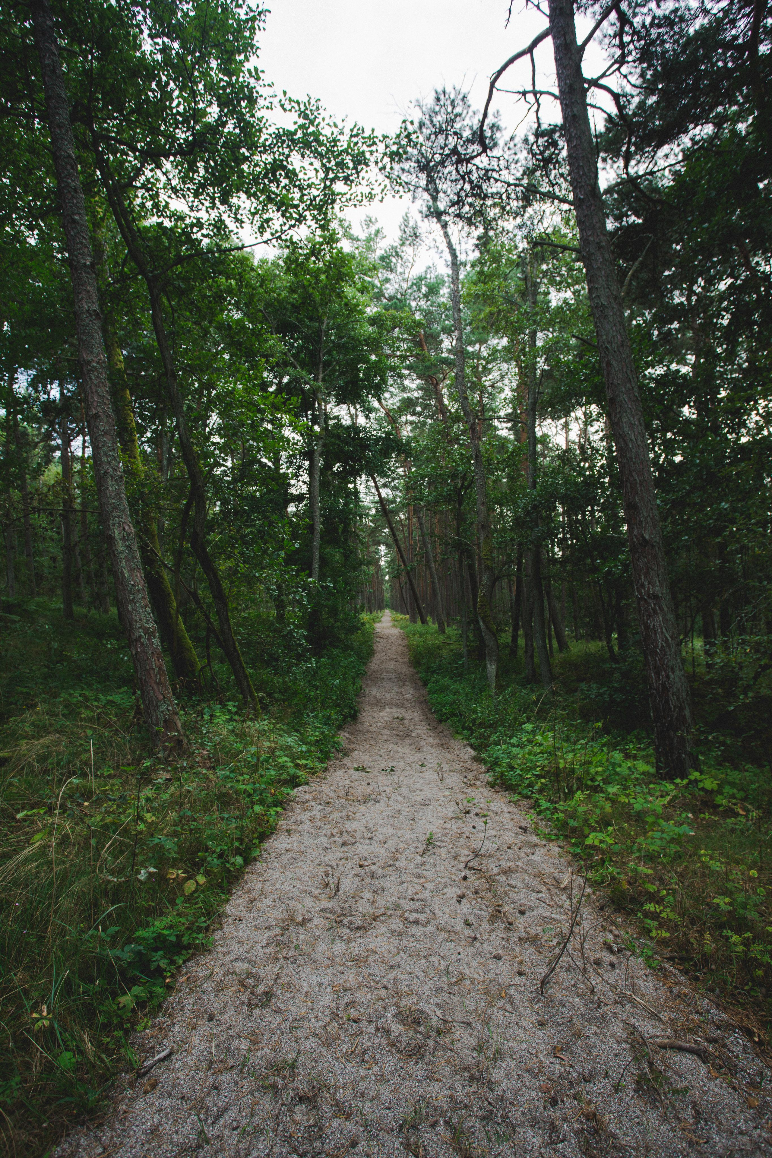 Куршская Коса. Photographer Sonkina Tatiana (Tanya Ash)