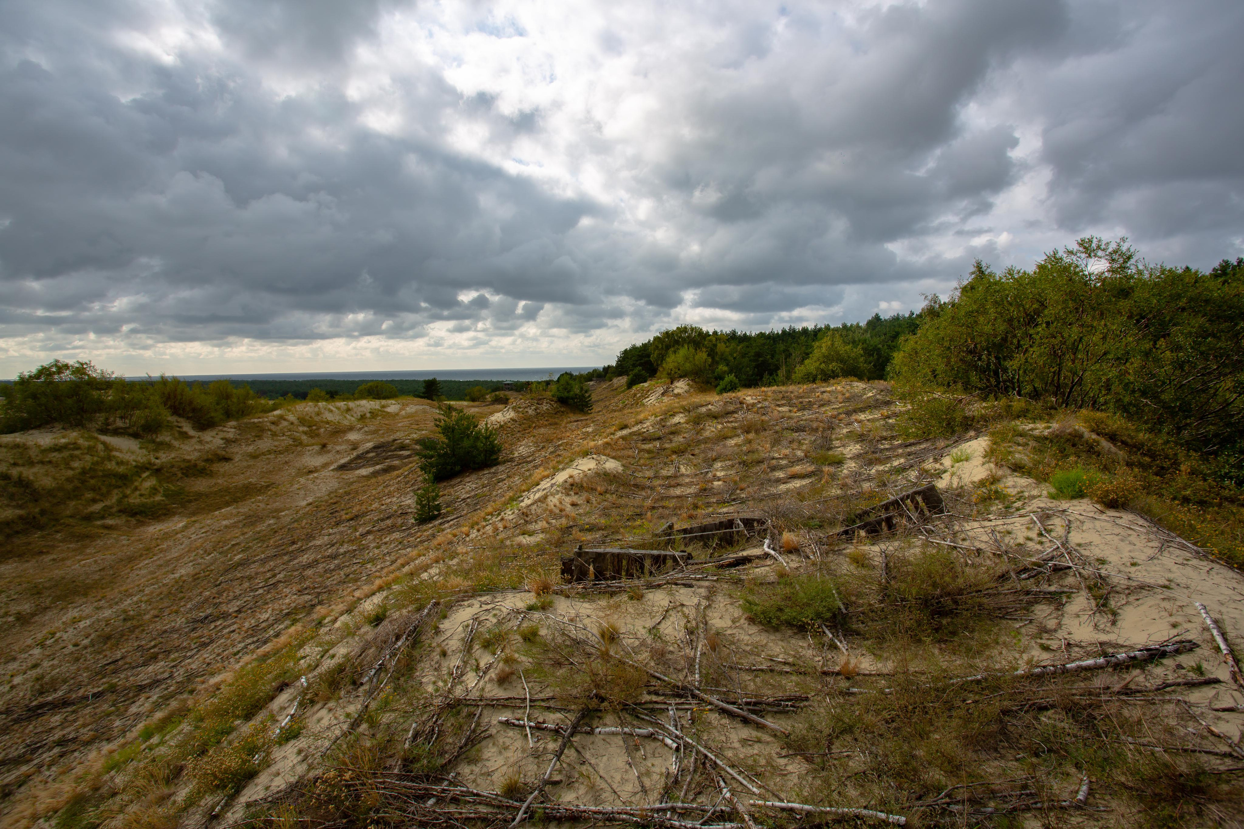 Куршская Коса. Photographer Sonkina Tatiana (Tanya Ash)