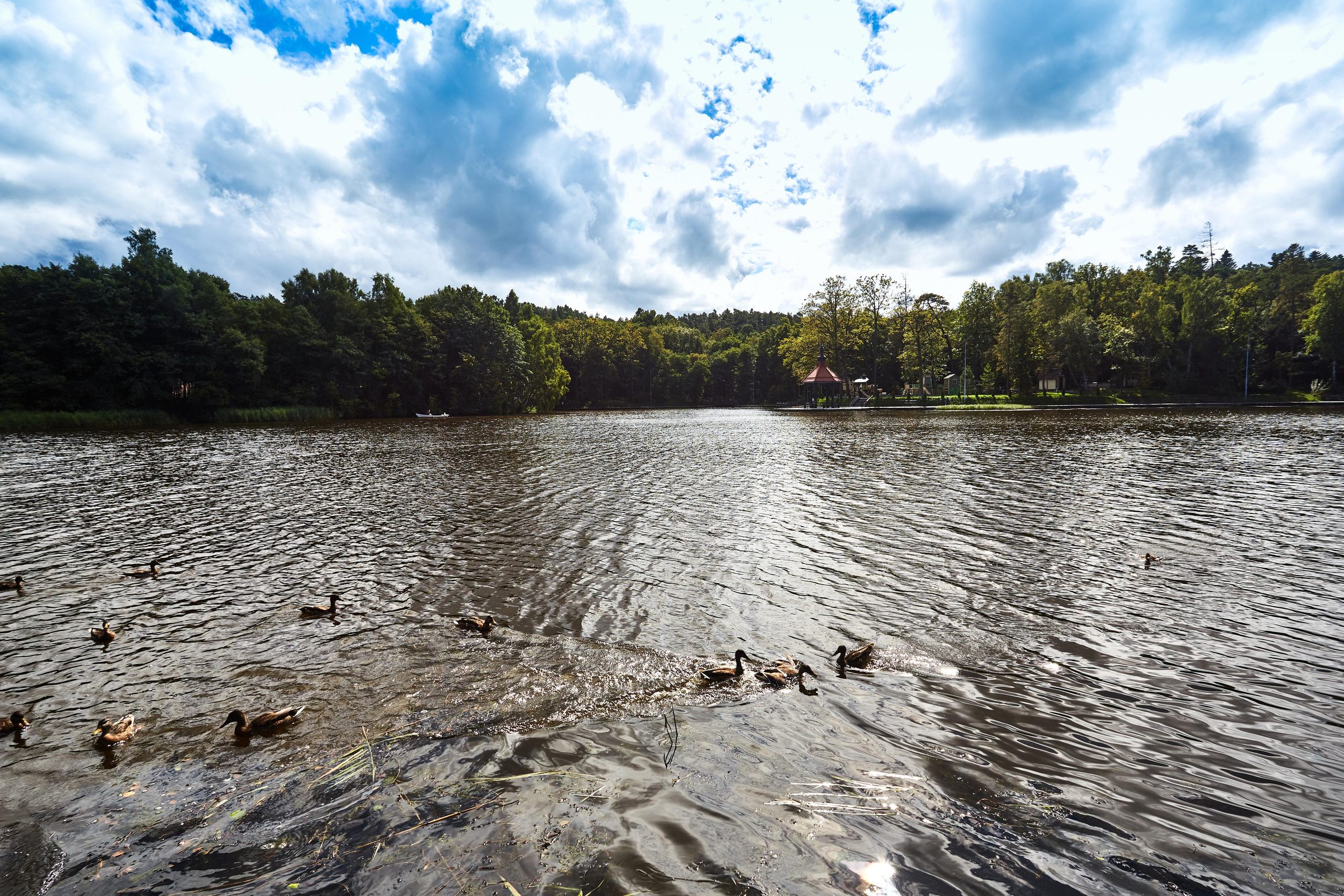 Светлогорск. Photographer Sonkina Tatiana (Tanya Ash)