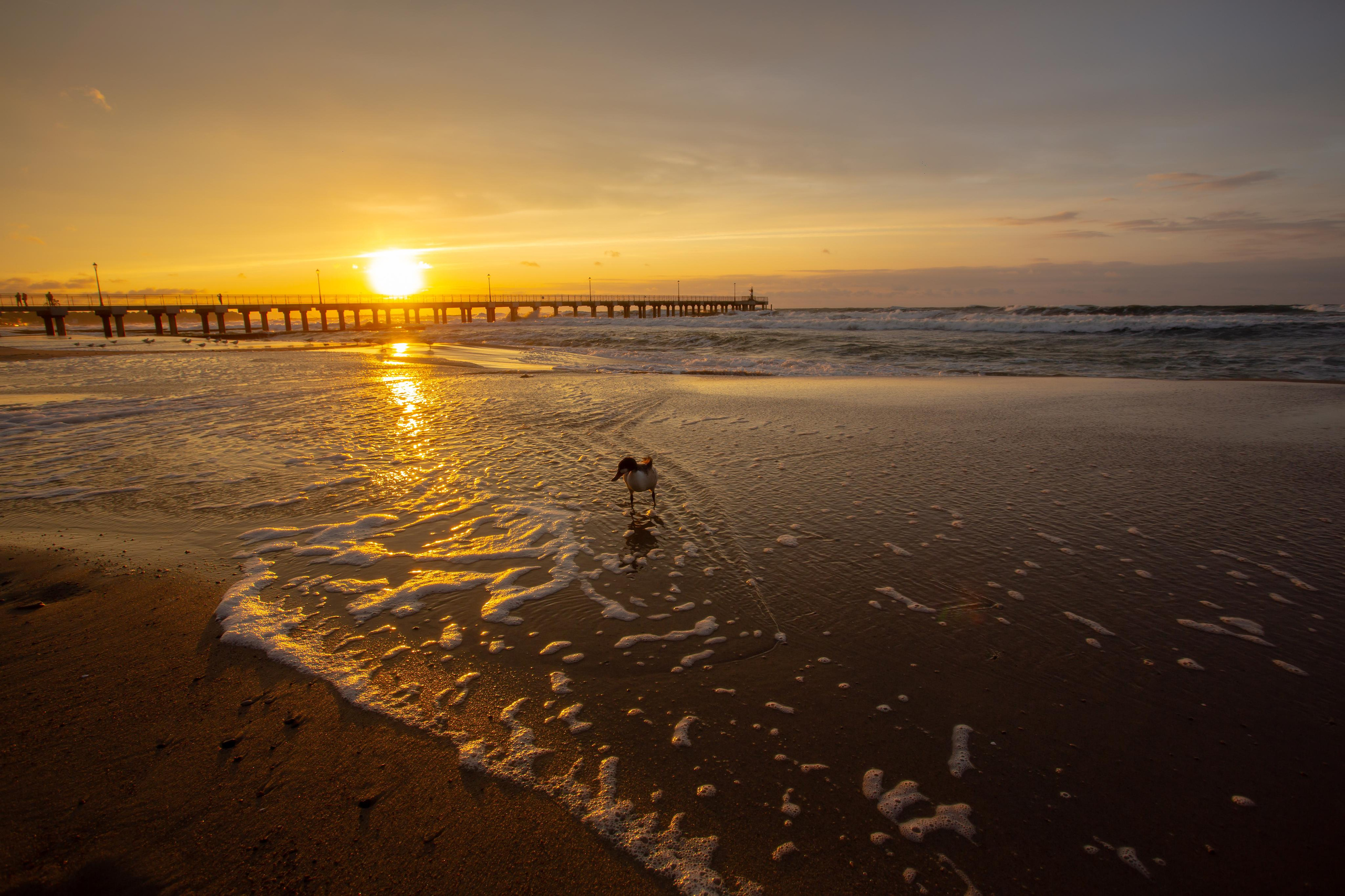 Пионерский. Photographer Sonkina Tatiana (Tanya Ash)