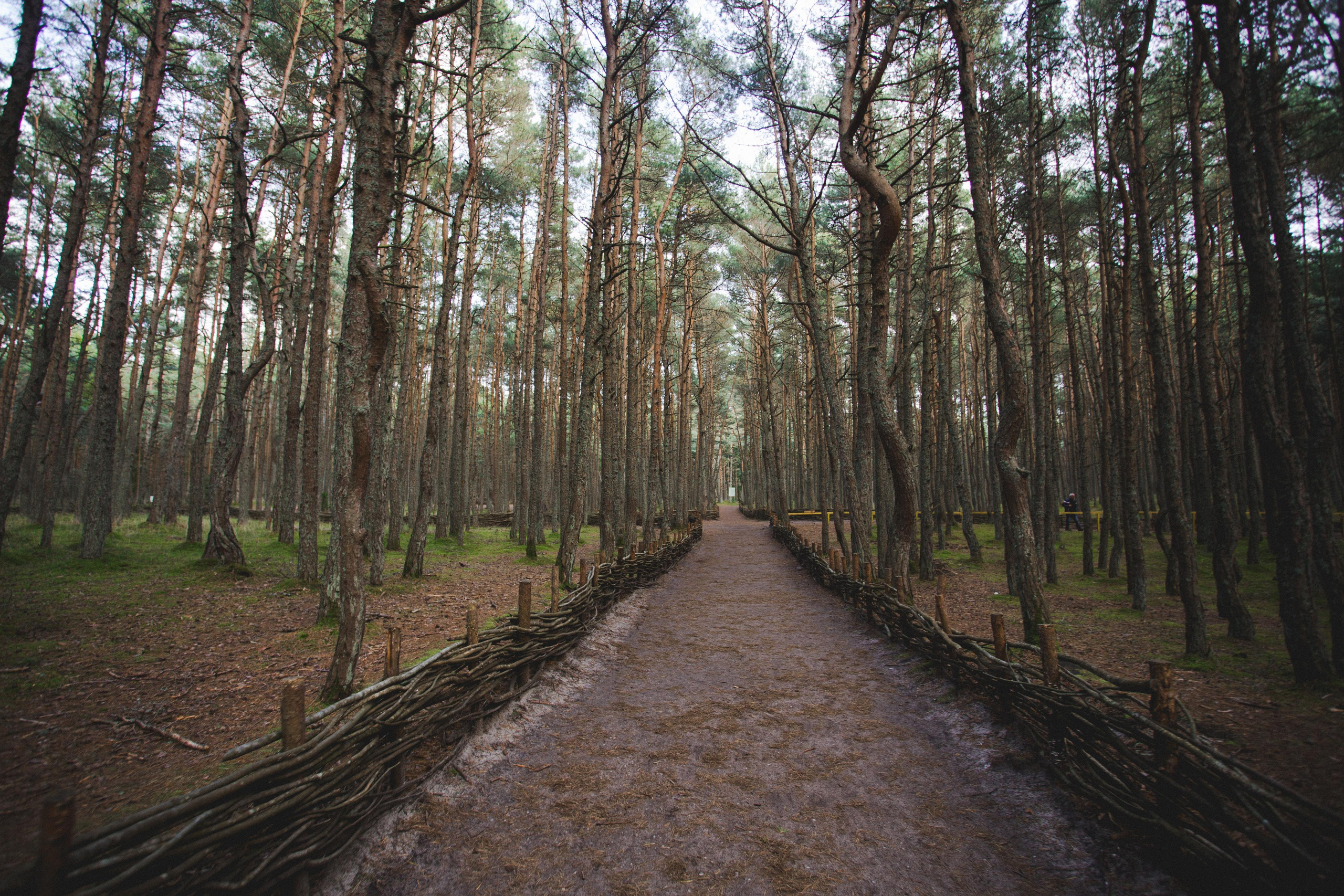 Куршская Коса. Photographer Sonkina Tatiana (Tanya Ash)