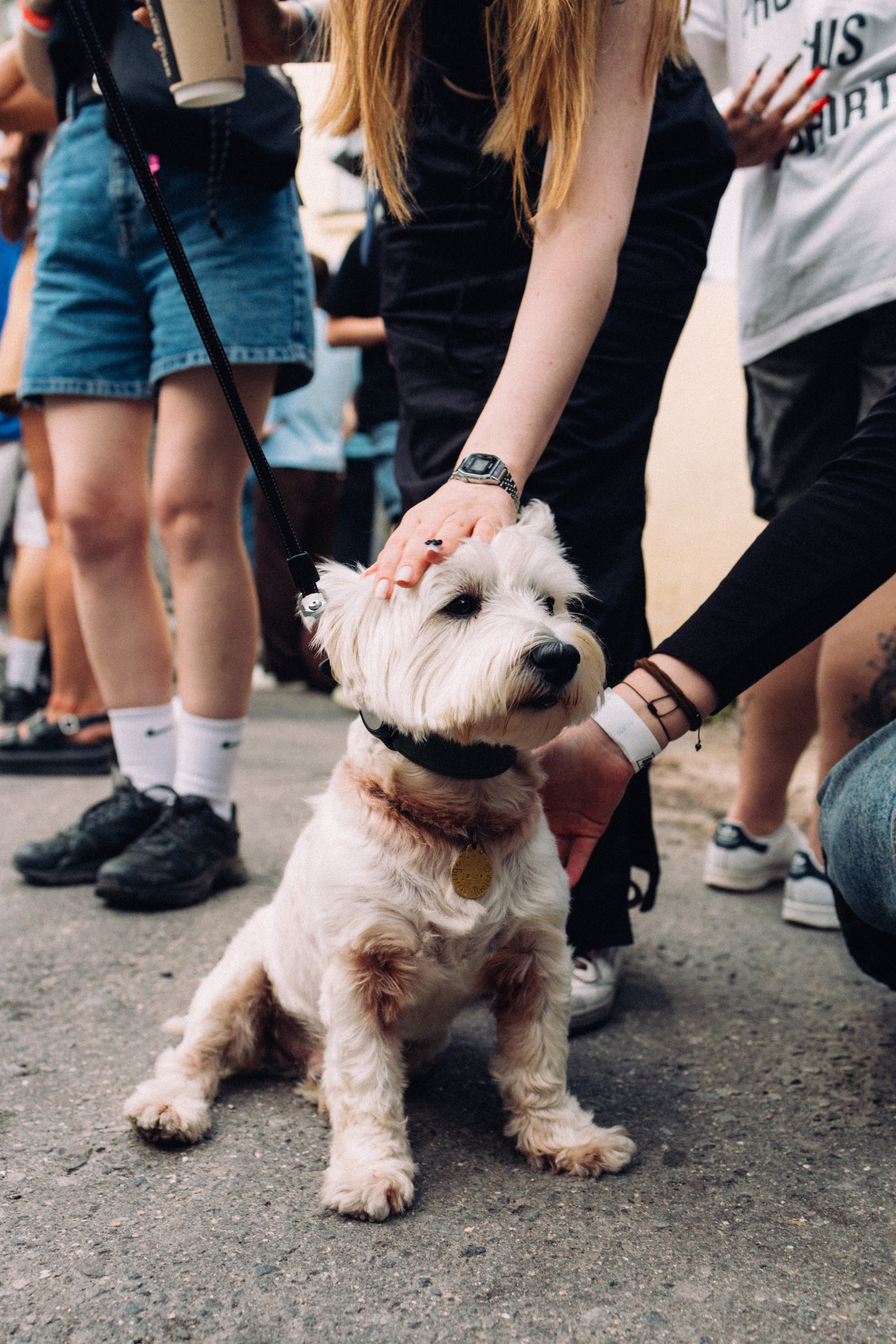 Двор в UPPERCUTS. СПАСИБО, ДАНИЛ