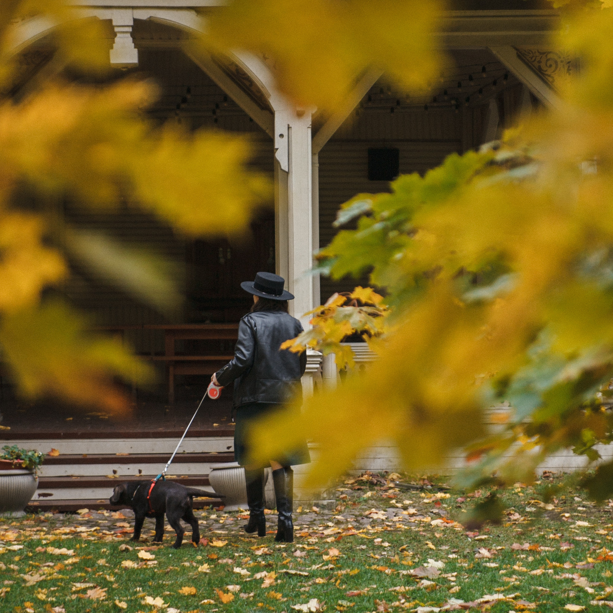 4 ноги, Терем, чай и 1 маленький хвост. Семейный фотограф, свадебный фотограф, женский портрет в Санкт-Петербу