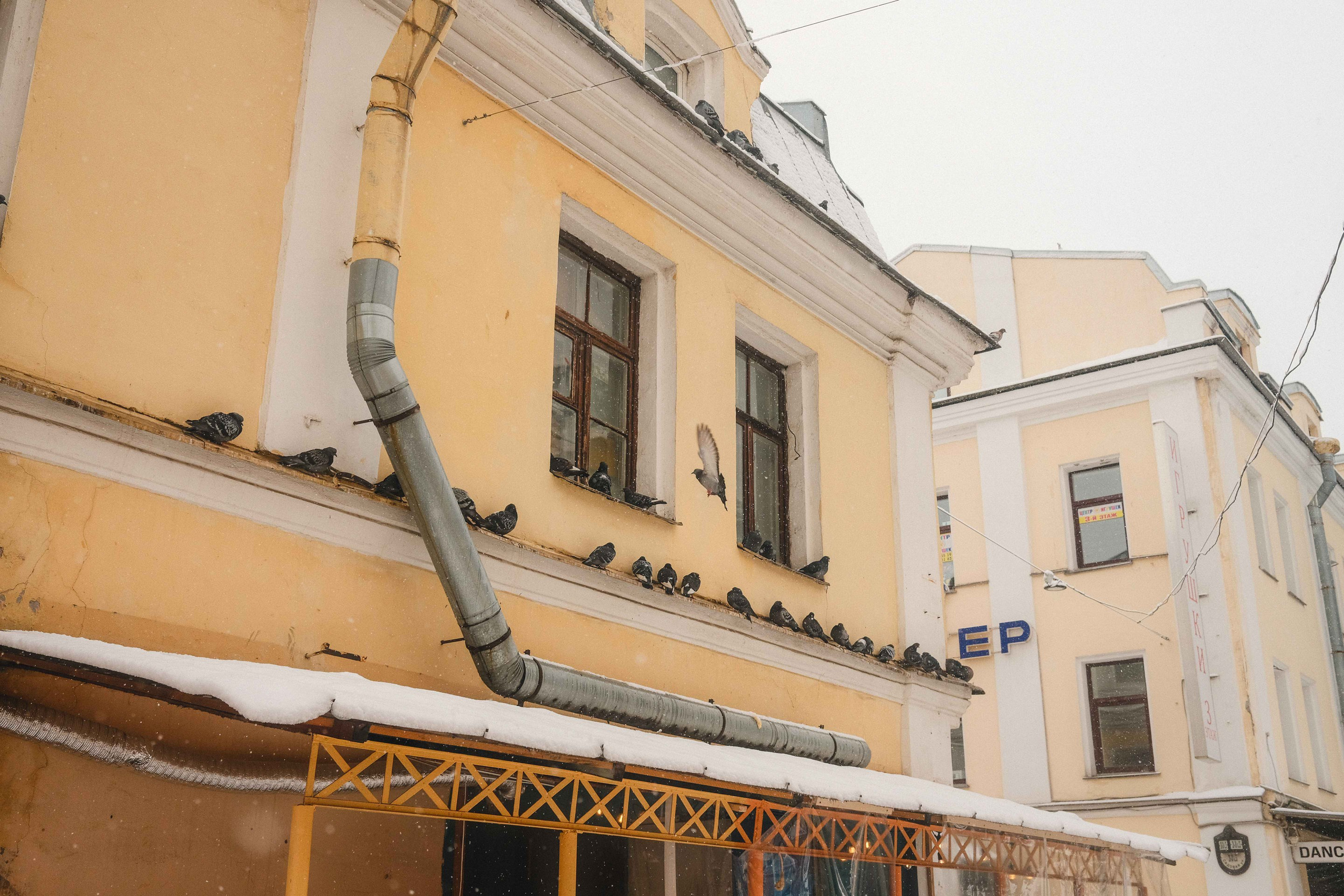 2023.03. Фотограф Алексей Алексеев