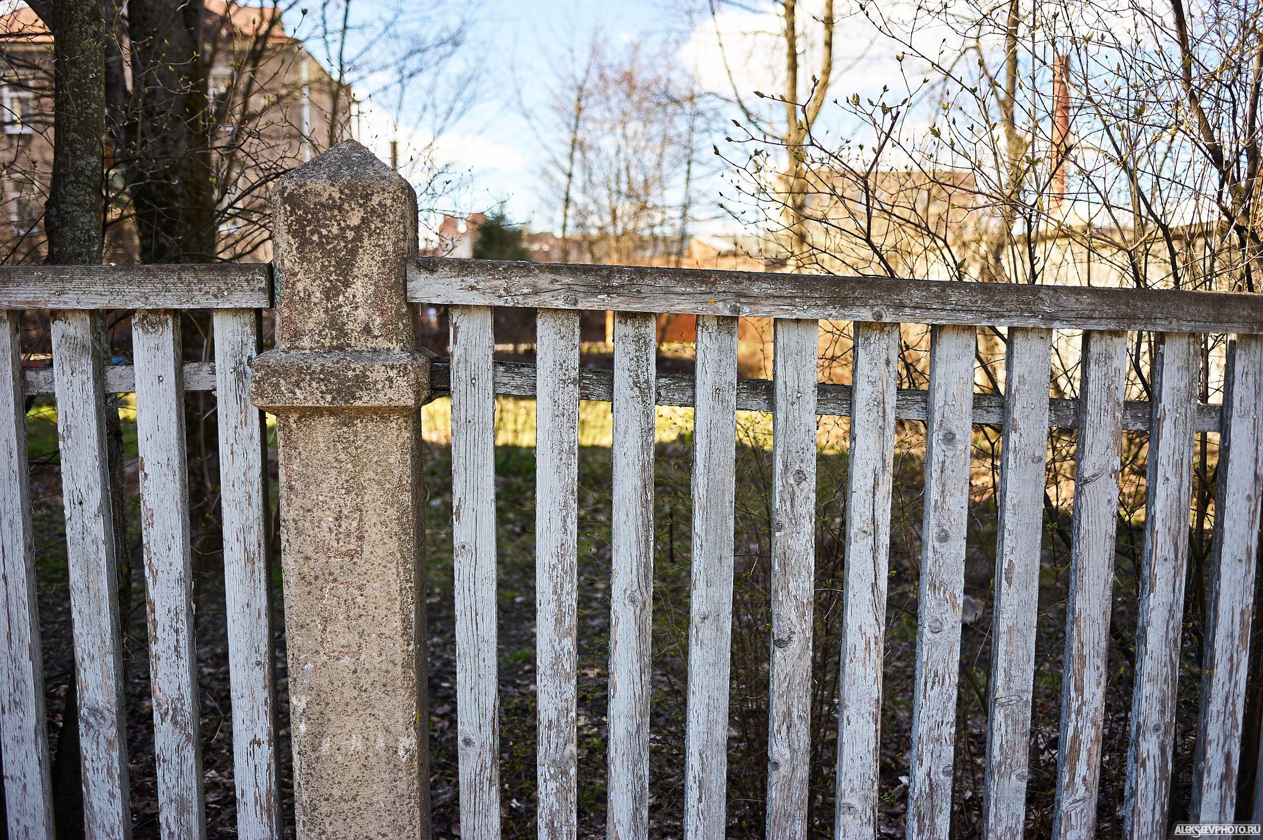 2021.05. Фотограф Алексей Алексеев
