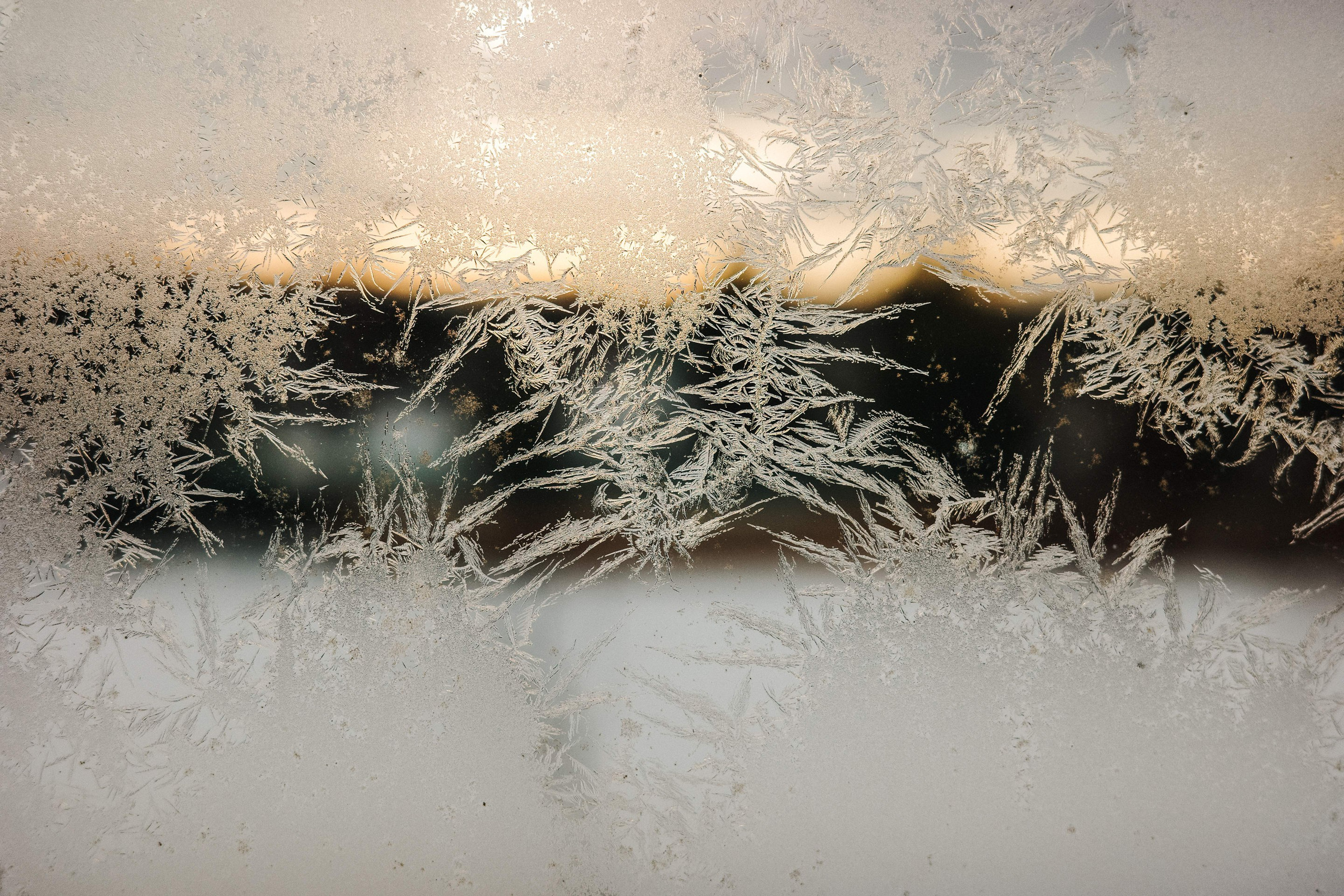 2025.01. Фотограф Алексей Алексеев