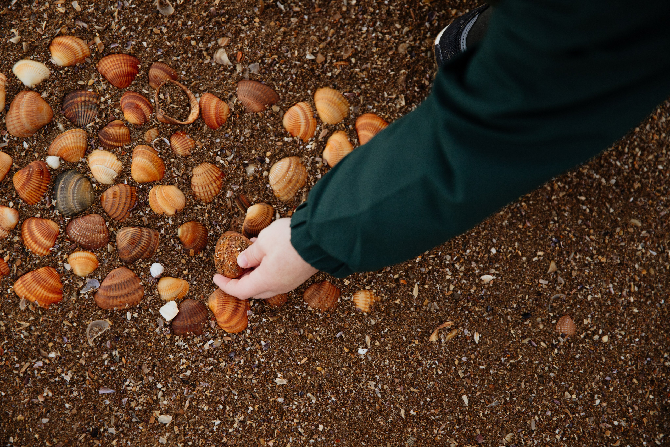 Семья Ланиных