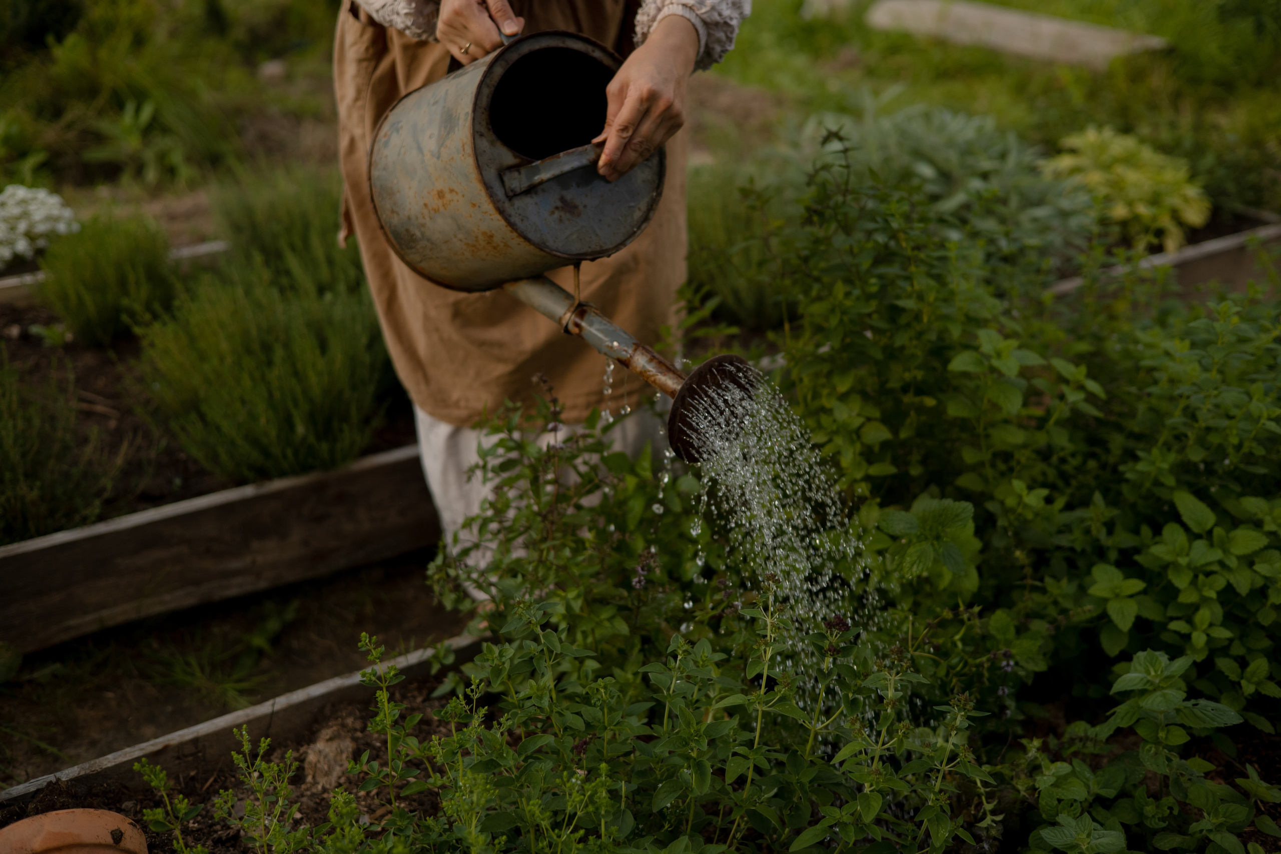 ДИНИЯ. Фотограф Элла Ефимова