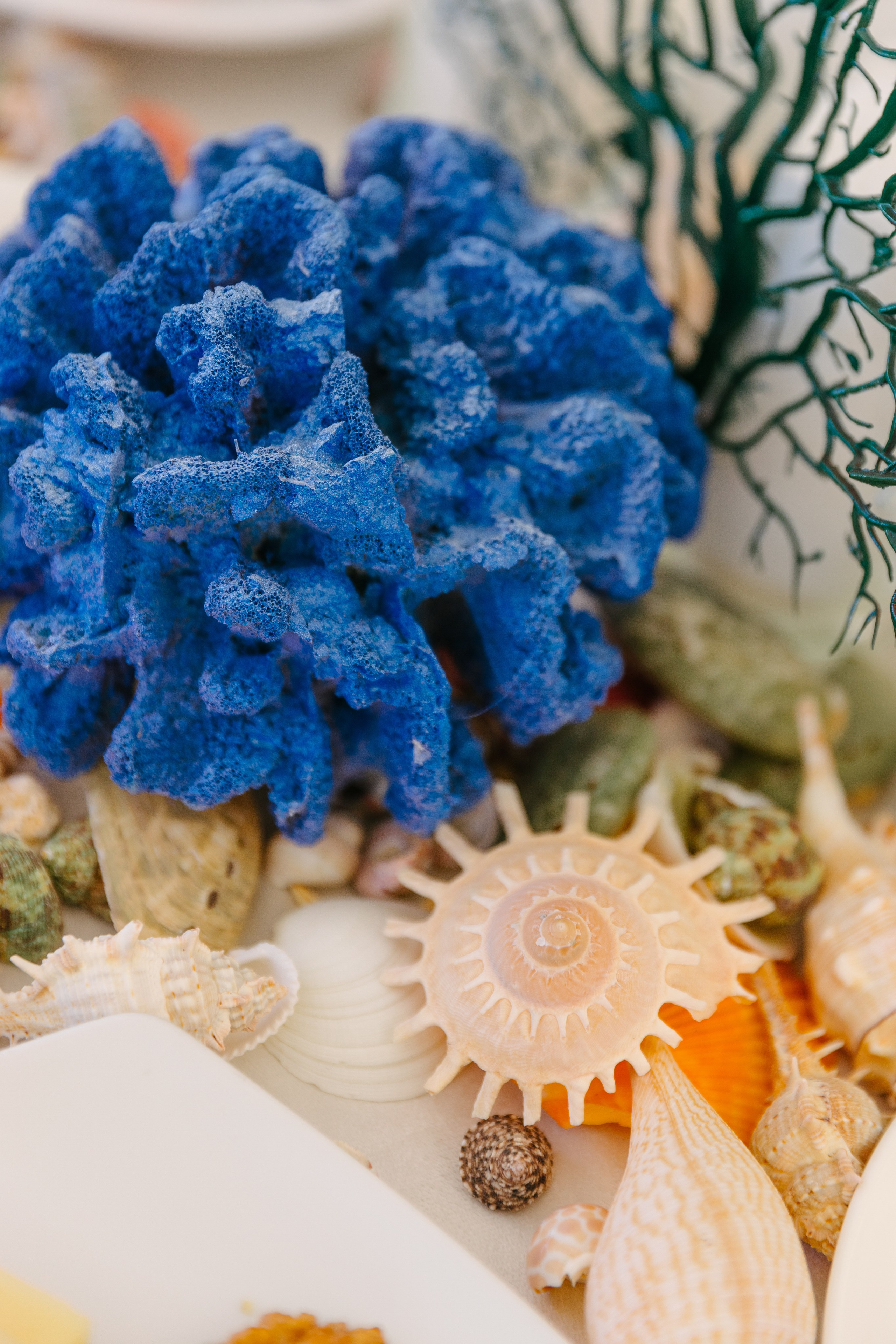 2707. Портфолио свадебного фотографа. Роман Каргаполов