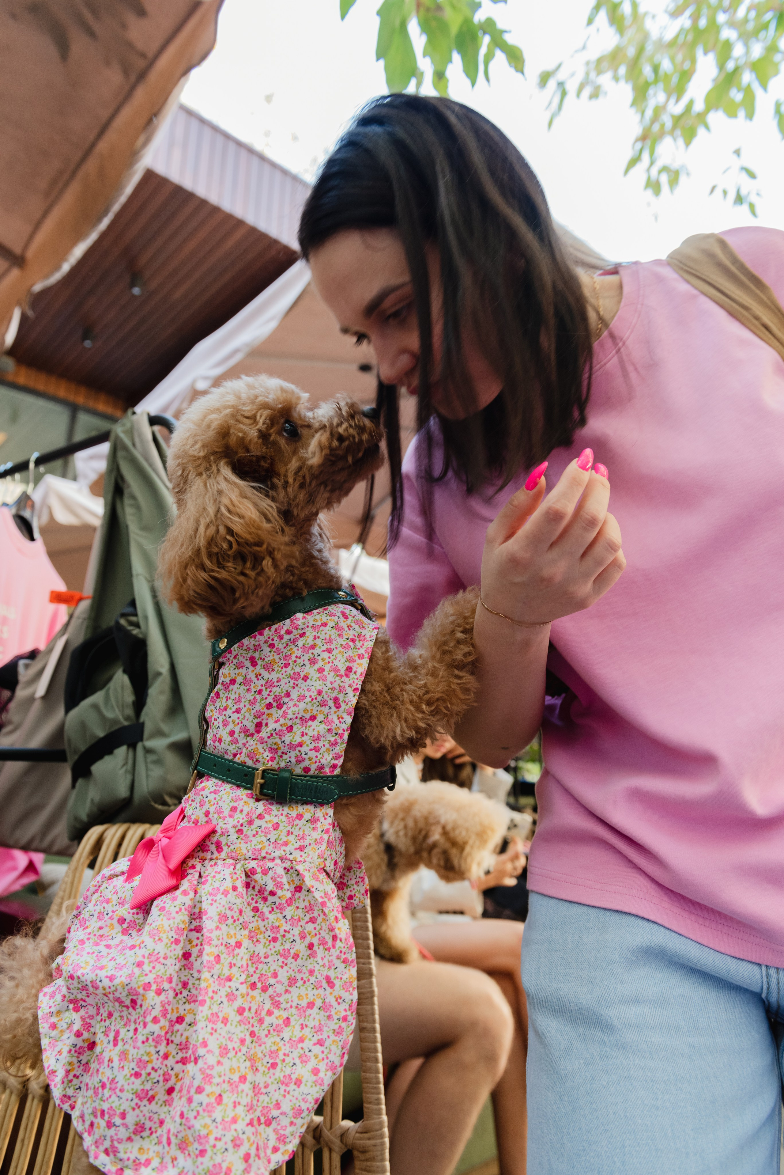 Pets. Фотограф в Москве Daria Lens