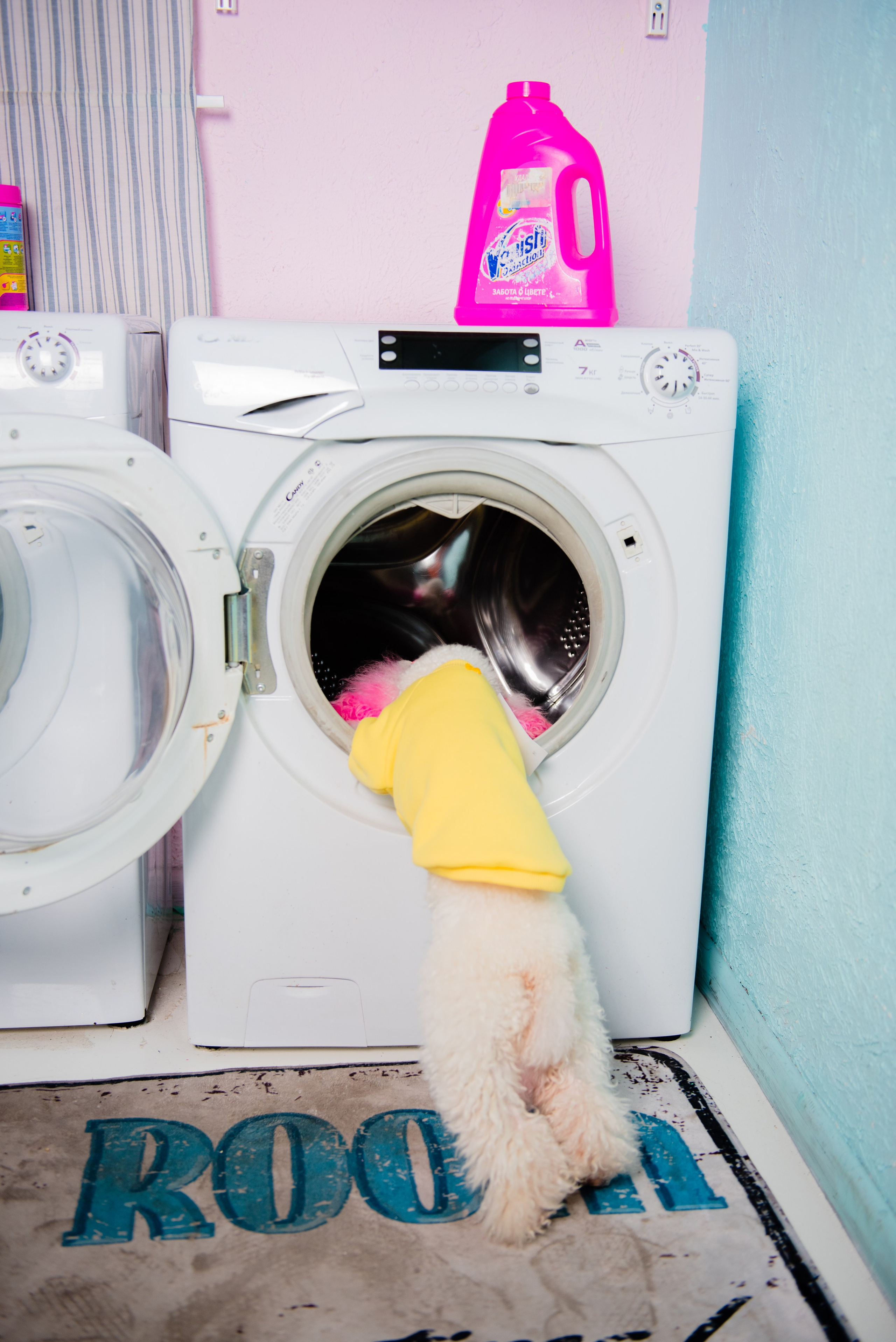 Pets. Фотограф в Москве Daria Lens