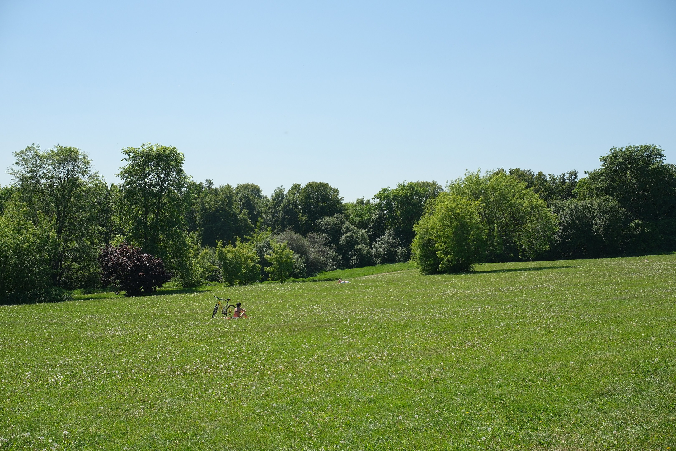 Коломенское 2024. Улица, люди, жизнь…