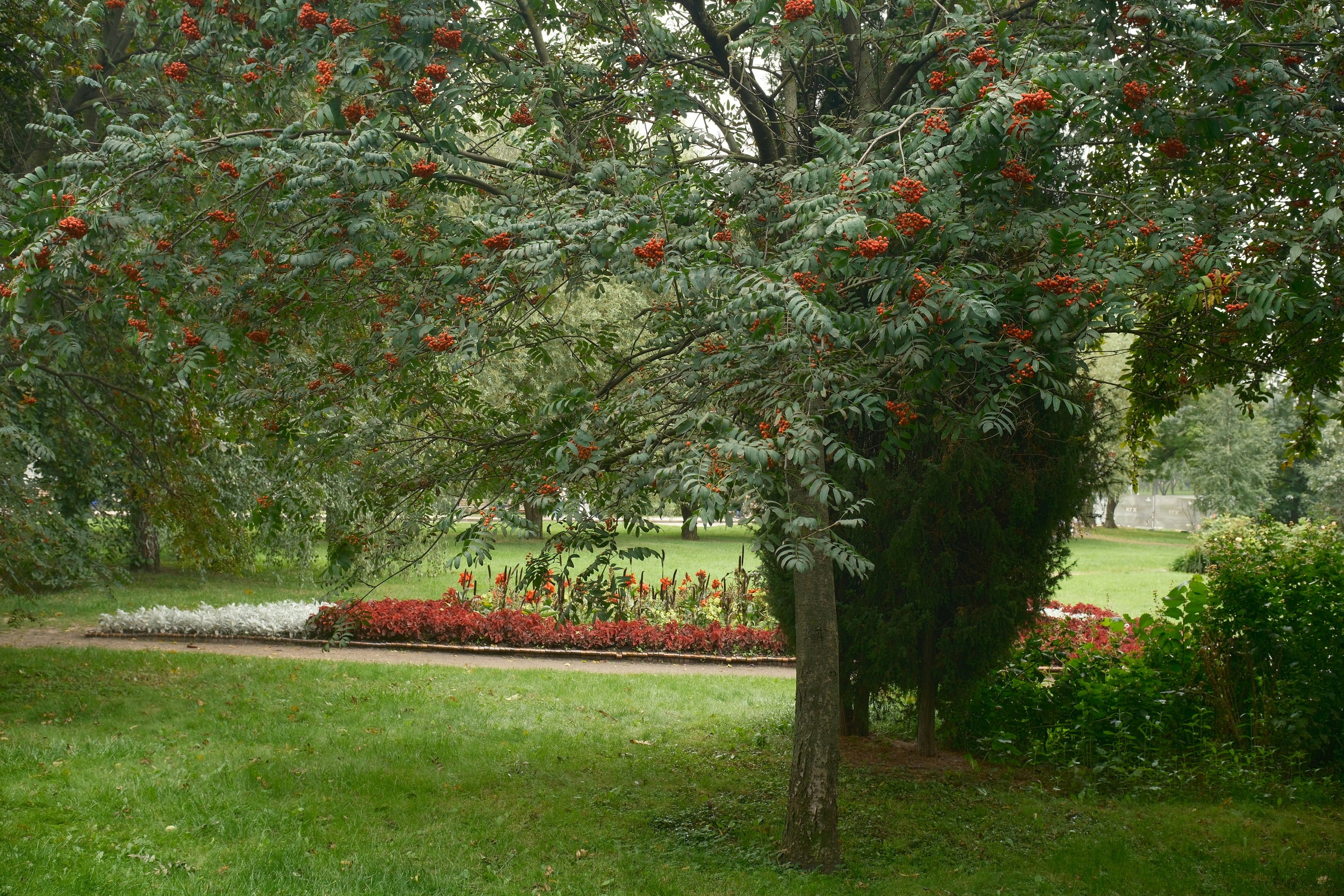 Август 2025. Улица, люди, жизнь…