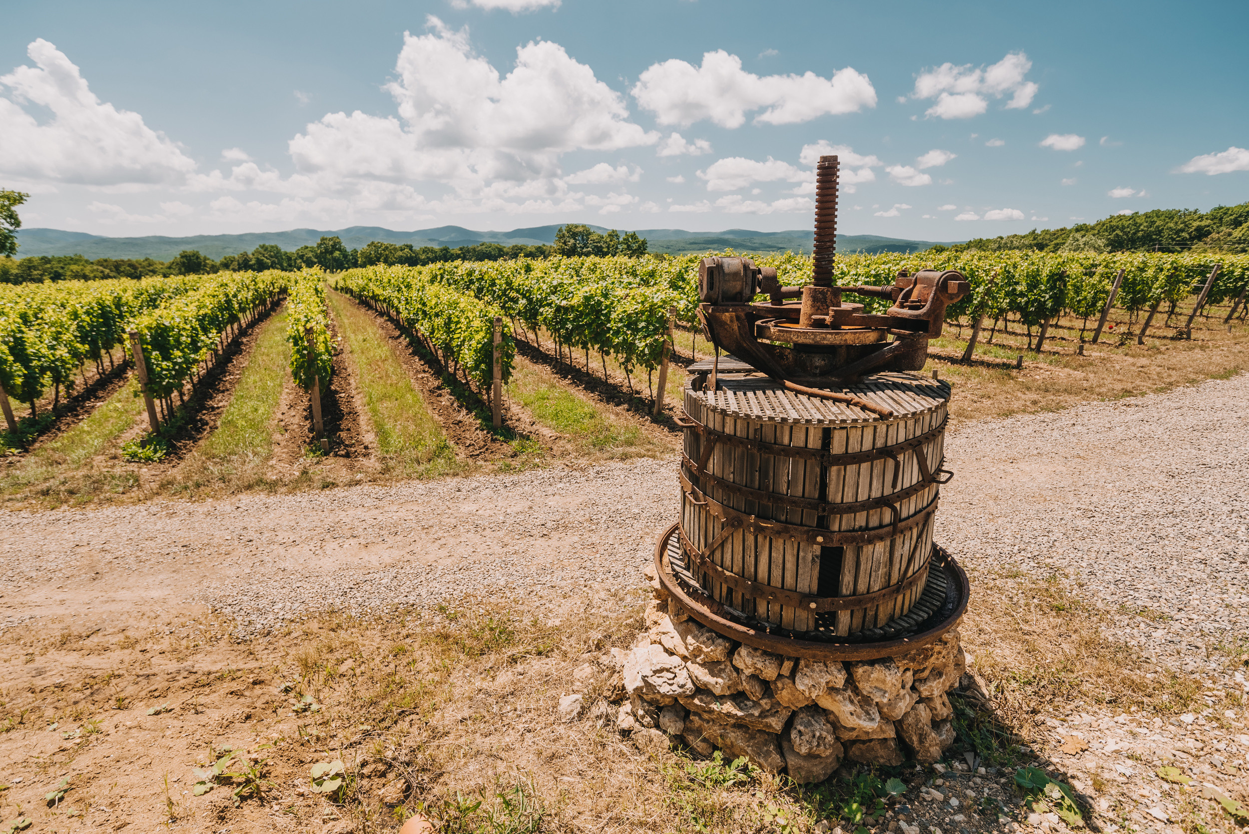 Винодельня Gunko Winery. Промышленный фотограф в Ростовской области Владимир Яковенко