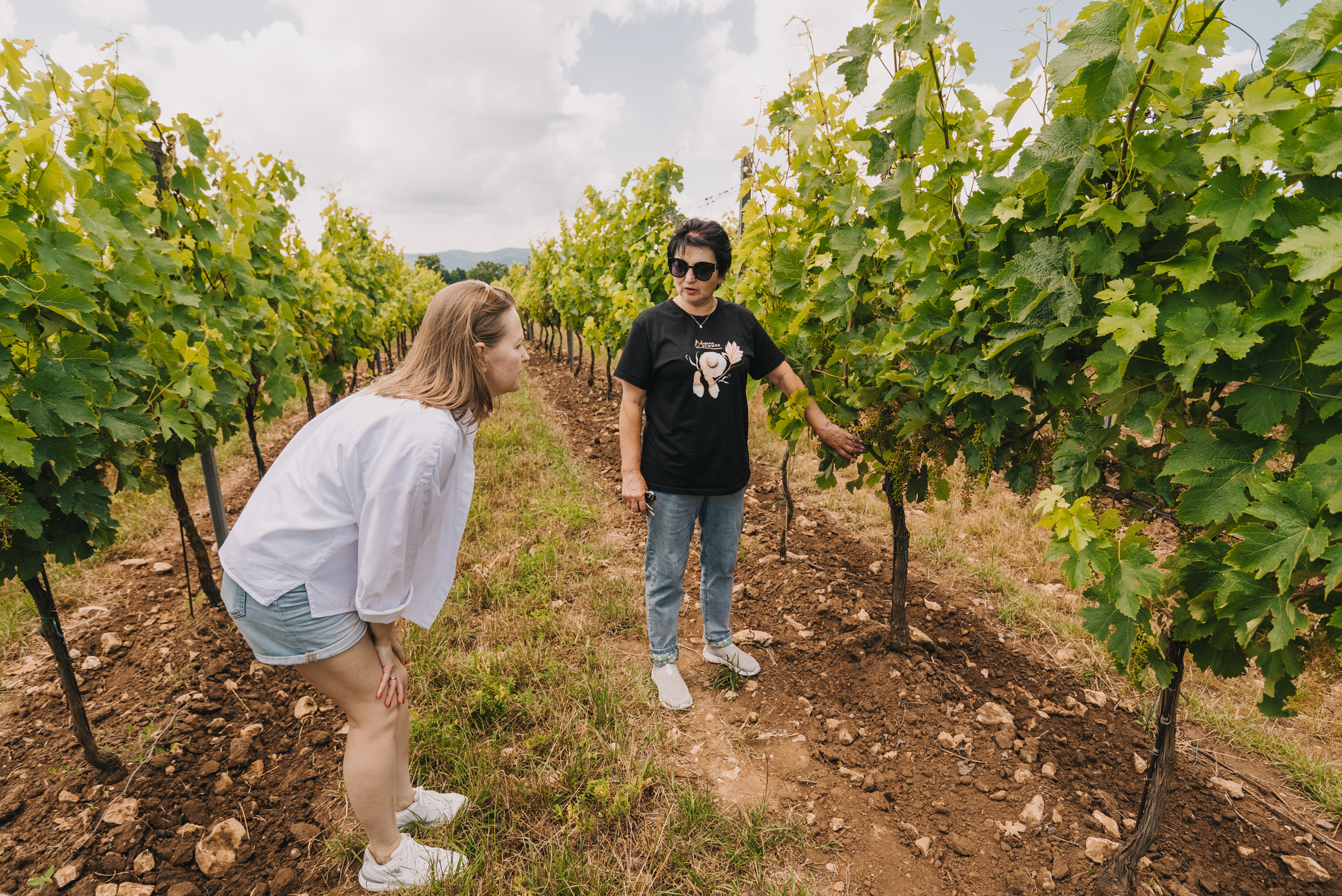 Винодельня Gunko Winery. Промышленный фотограф в Ростовской области Владимир Яковенко
