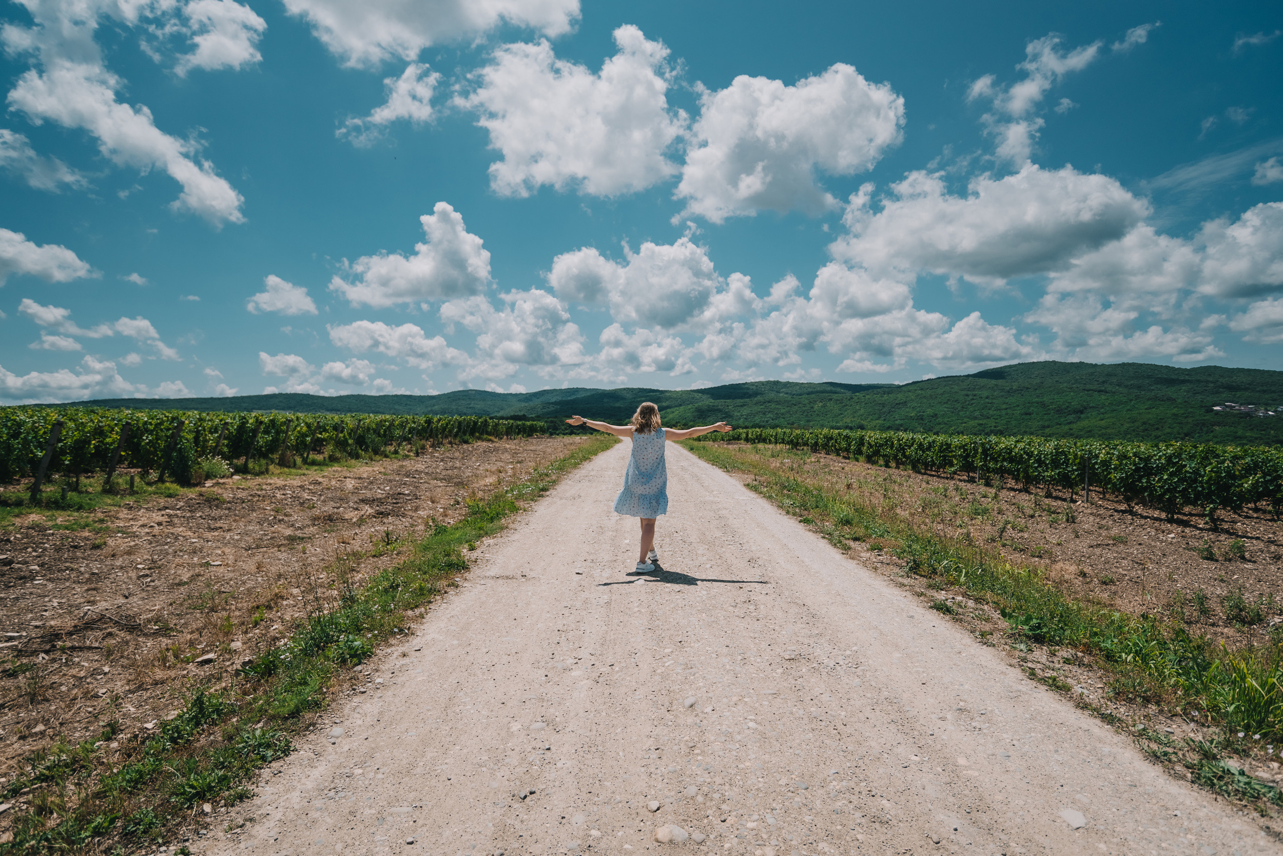 Винодельня «Сухая гора». Промышленный фотограф в Ростовской области Владимир Яковенко