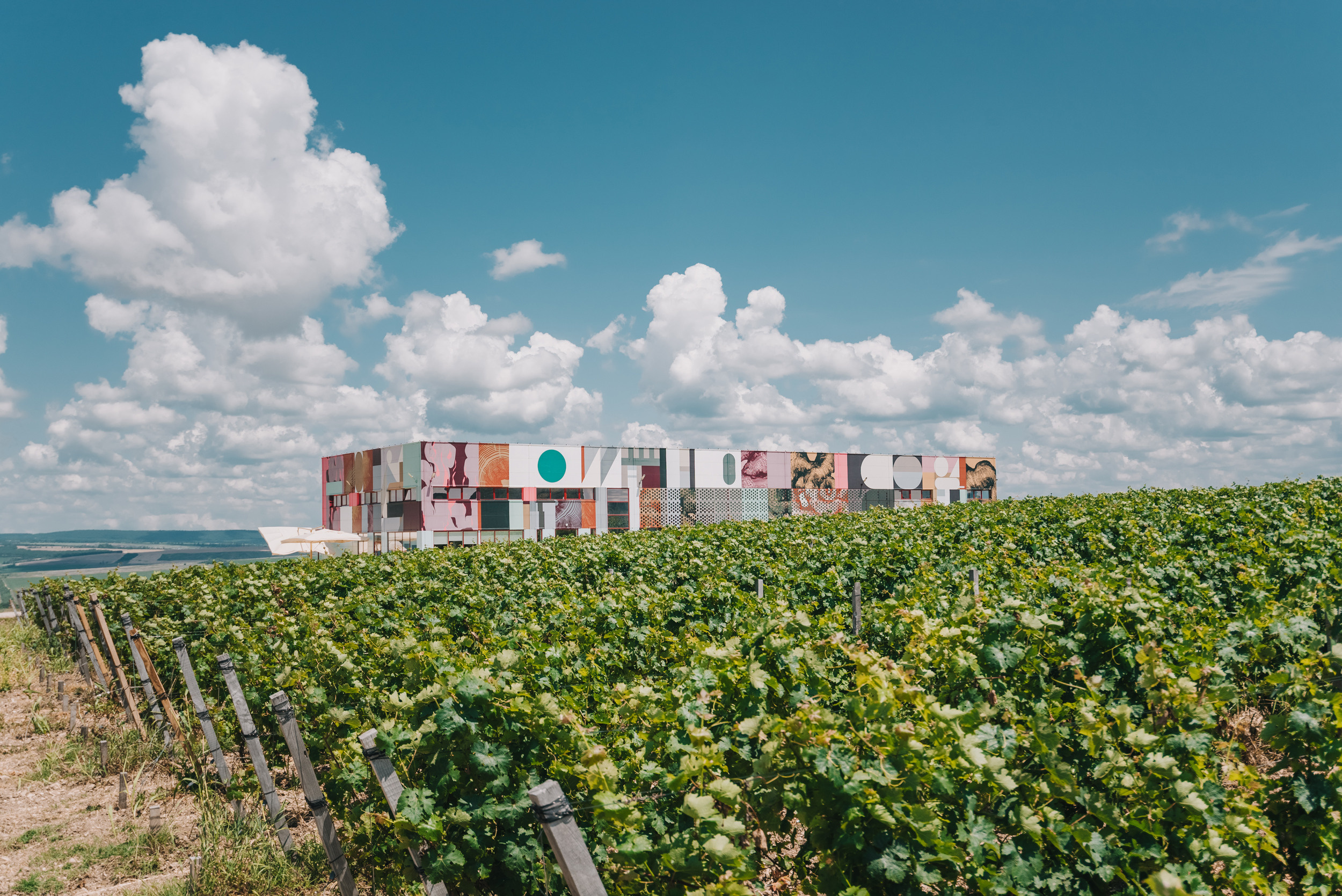 Винодельня «Сухая гора». Промышленный фотограф в Ростовской области Владимир Яковенко